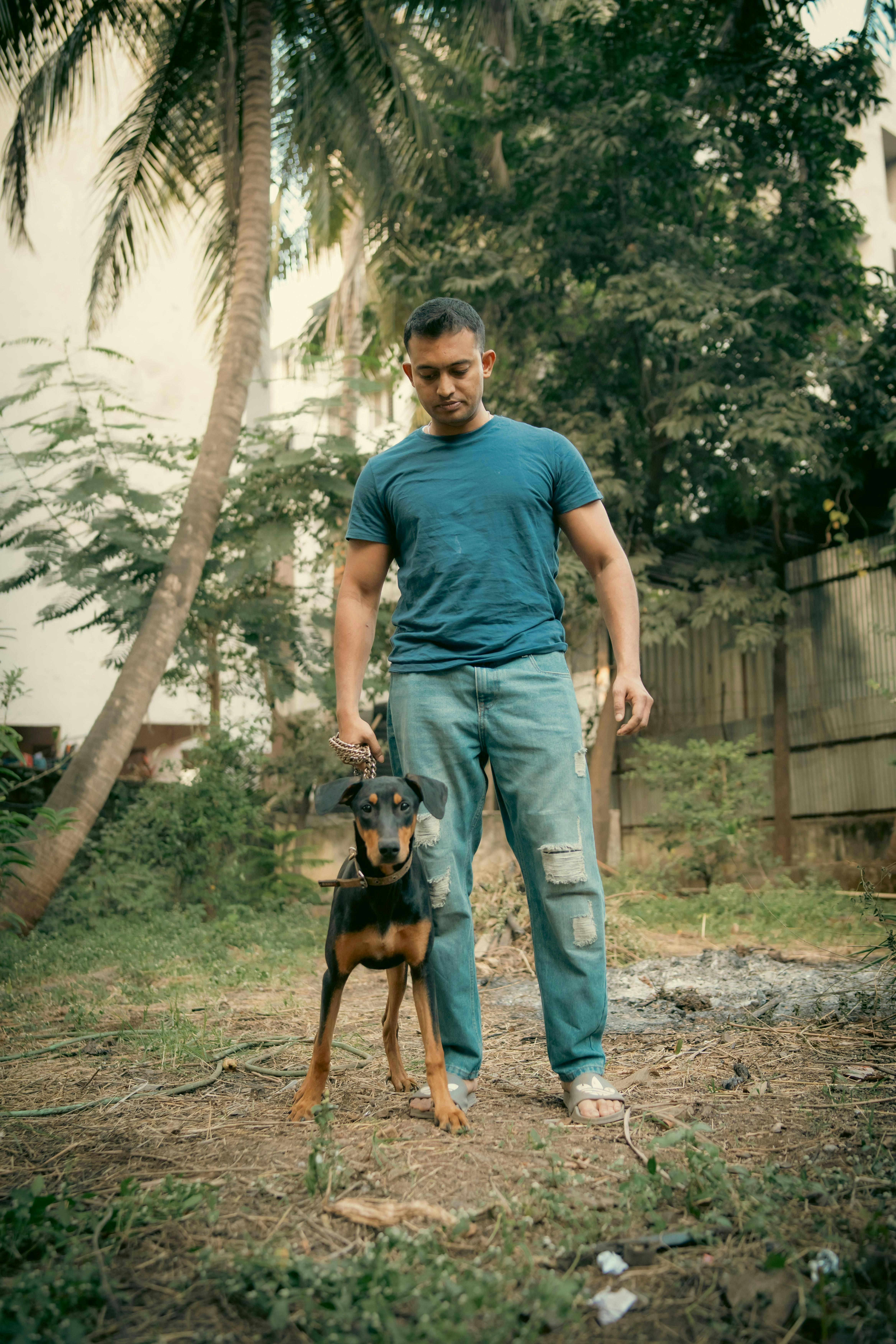 EDUCHIEN — Gambais