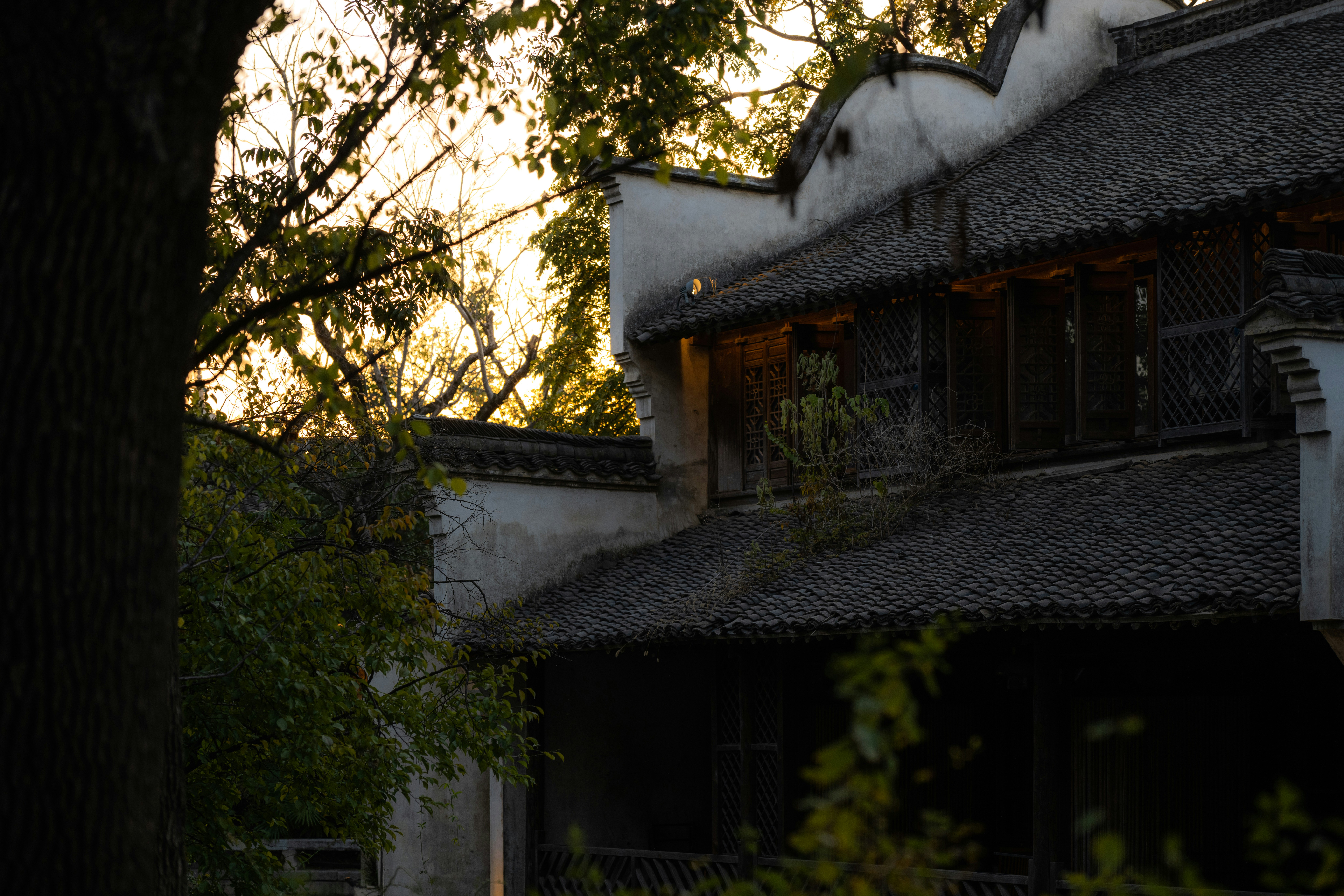 Photo by kaneyoung