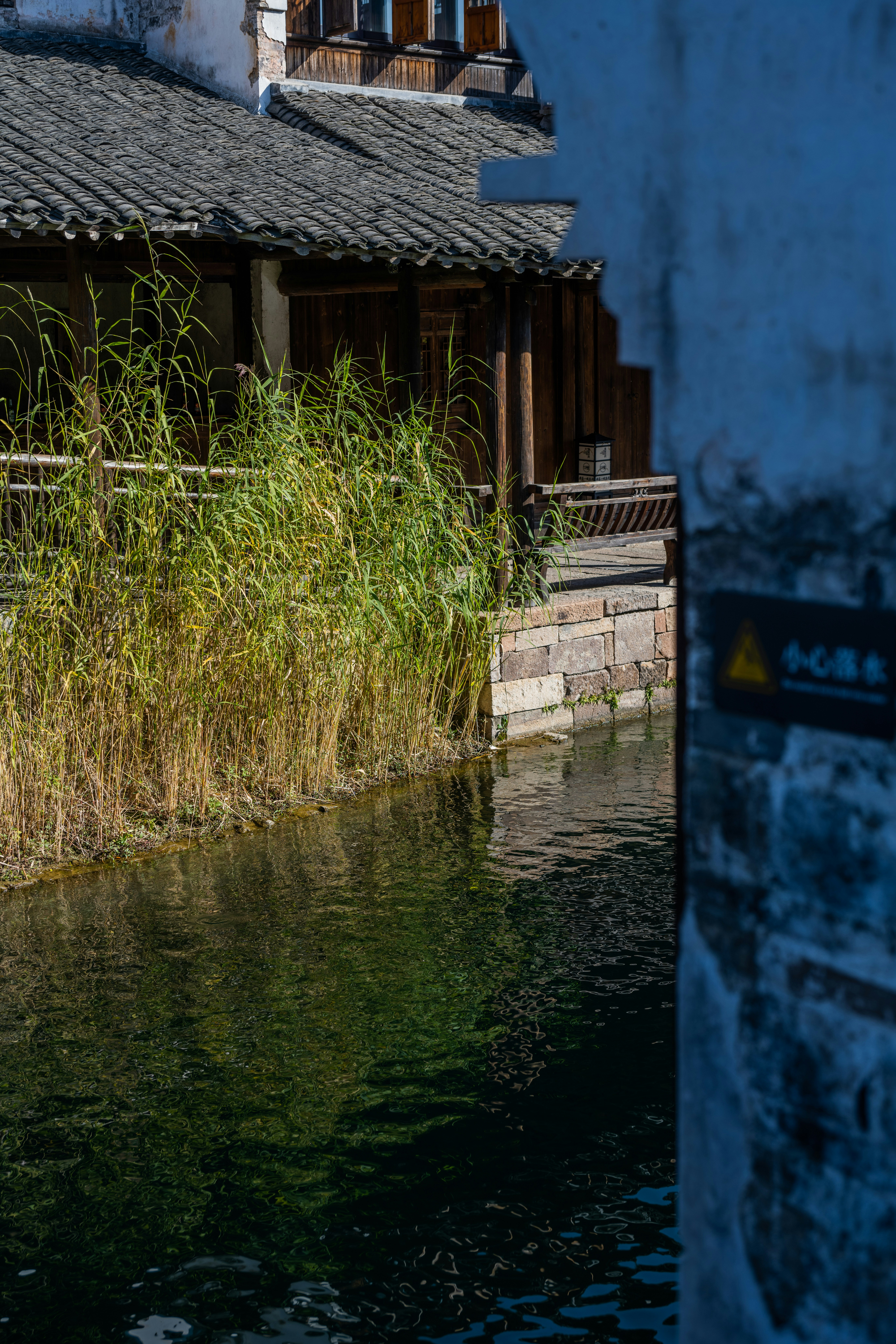 Canal alongside traditional buildings and tall grass
