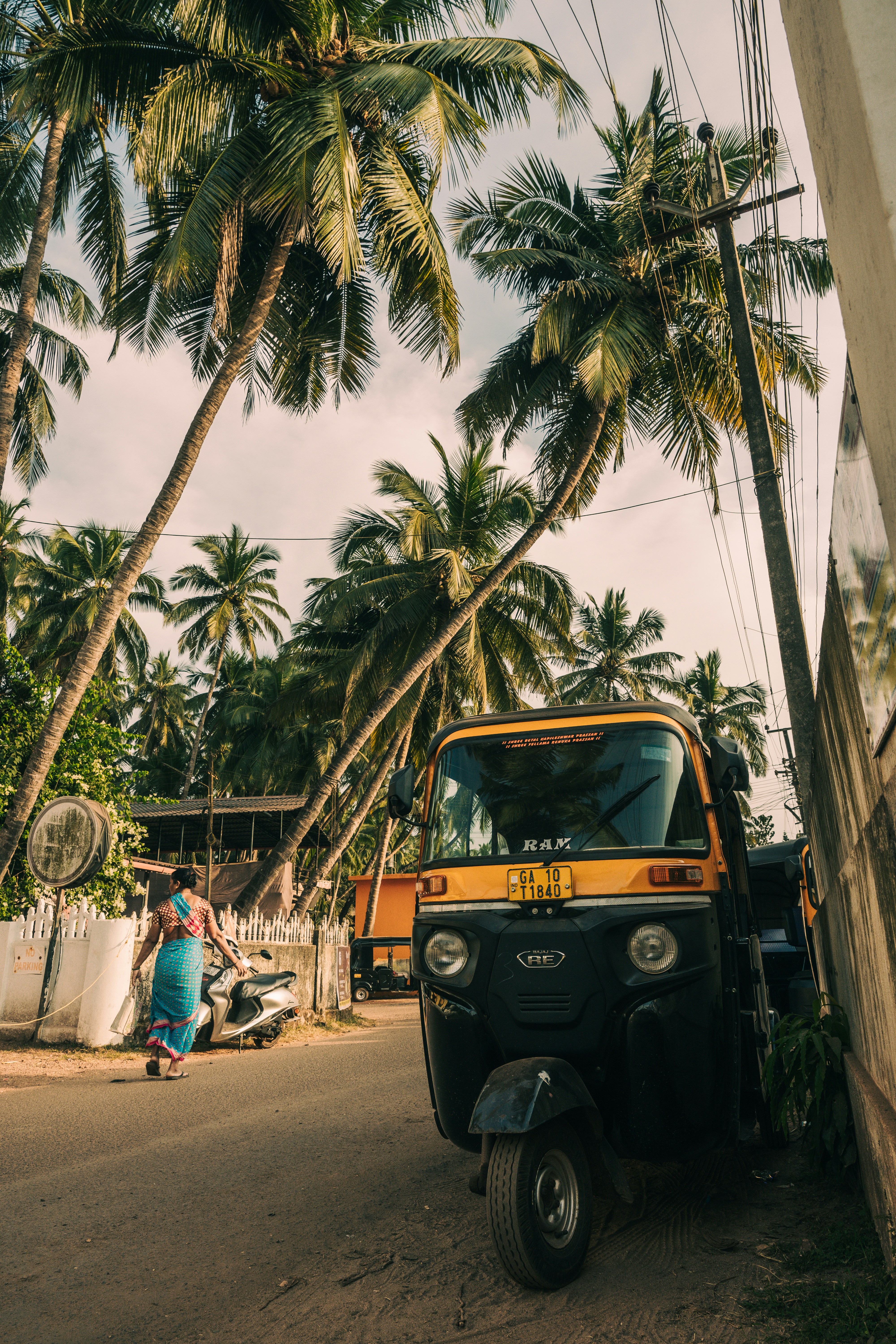 Auto rickshaw parked under palm trees on a street.
