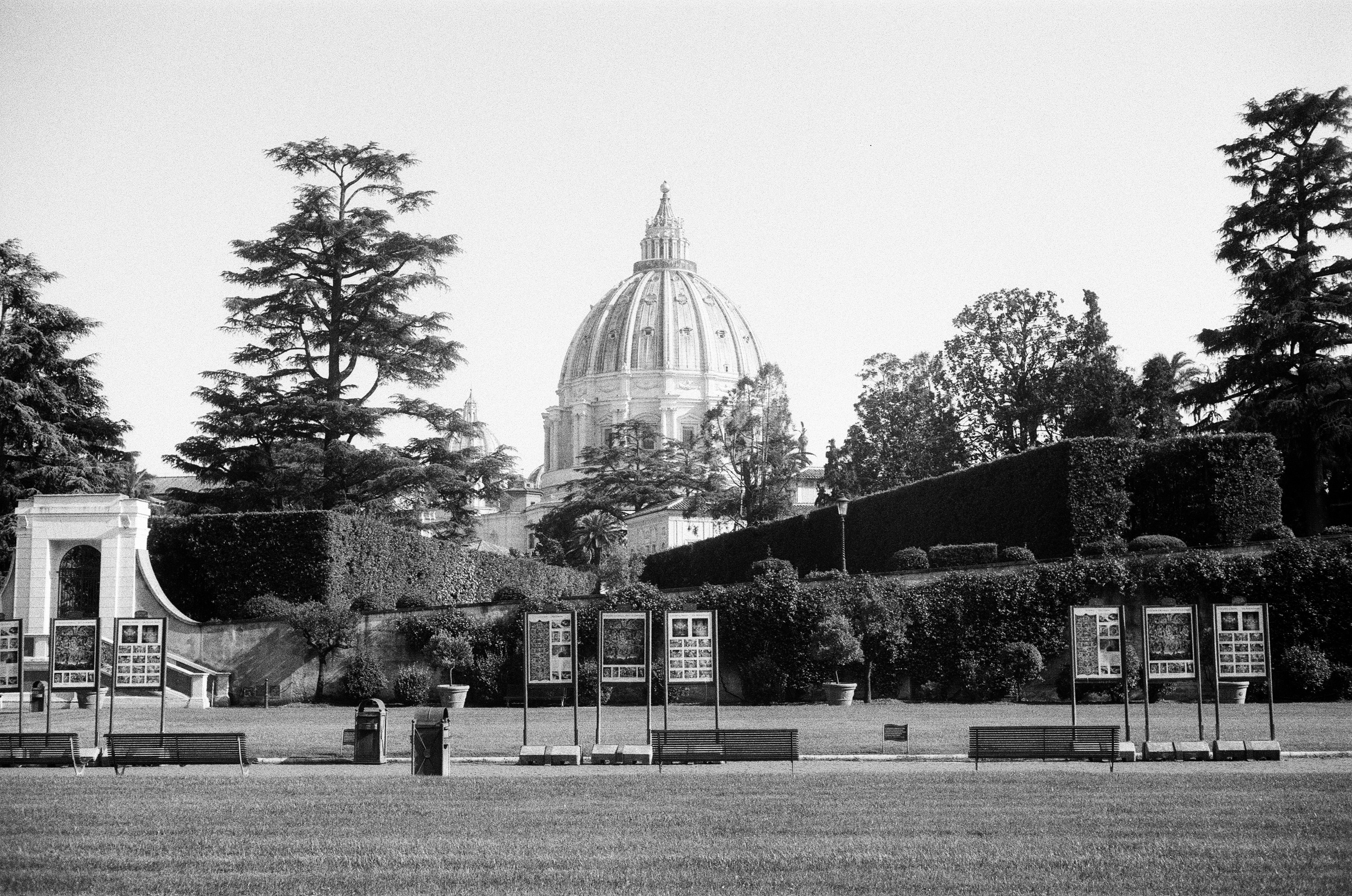 St. peter's basilica dome seen from a garden