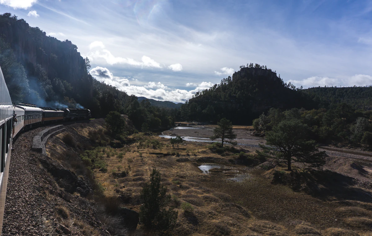 A passenger train rounding a curve through pine hills in Chihuahua