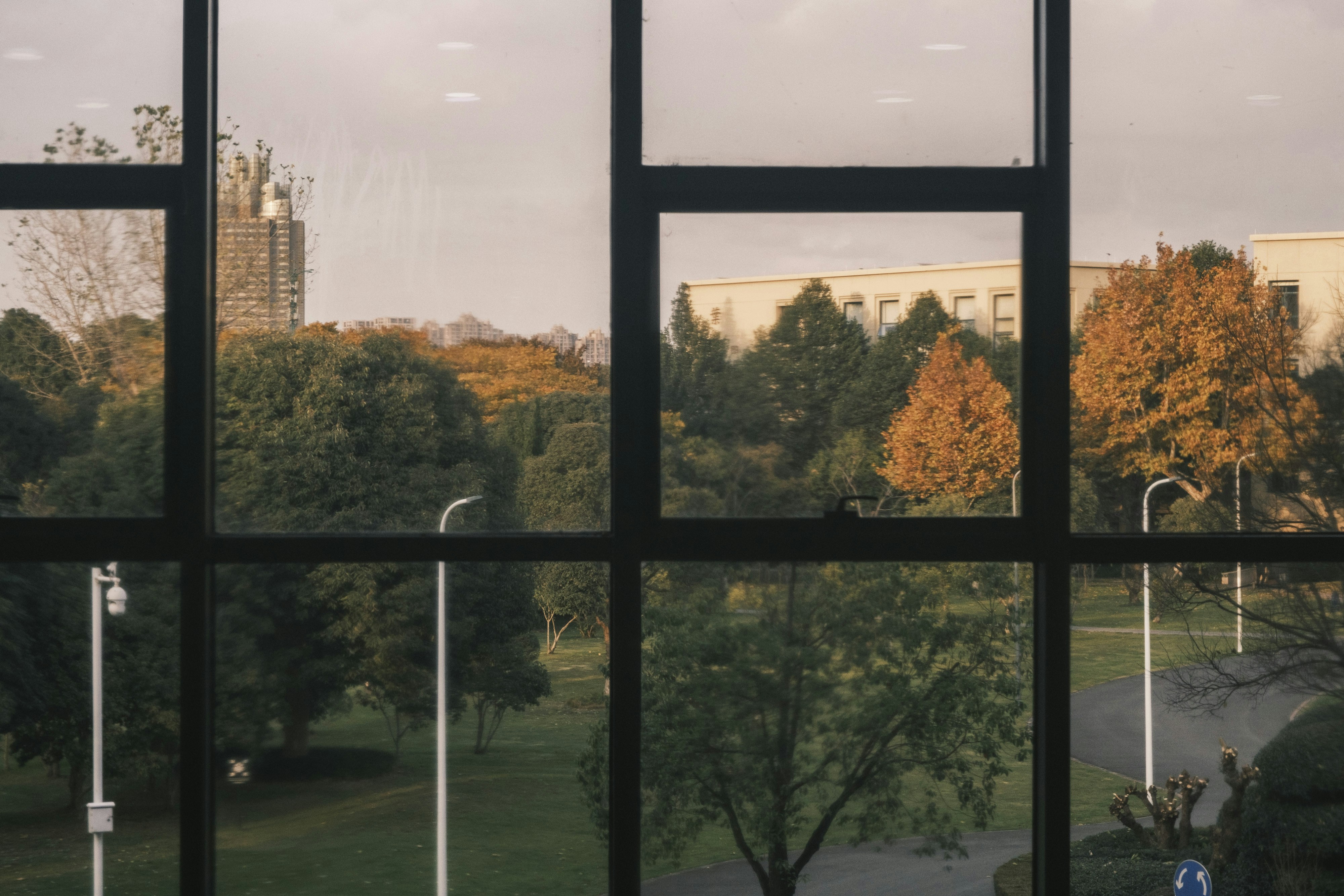 Trees and buildings seen through a window