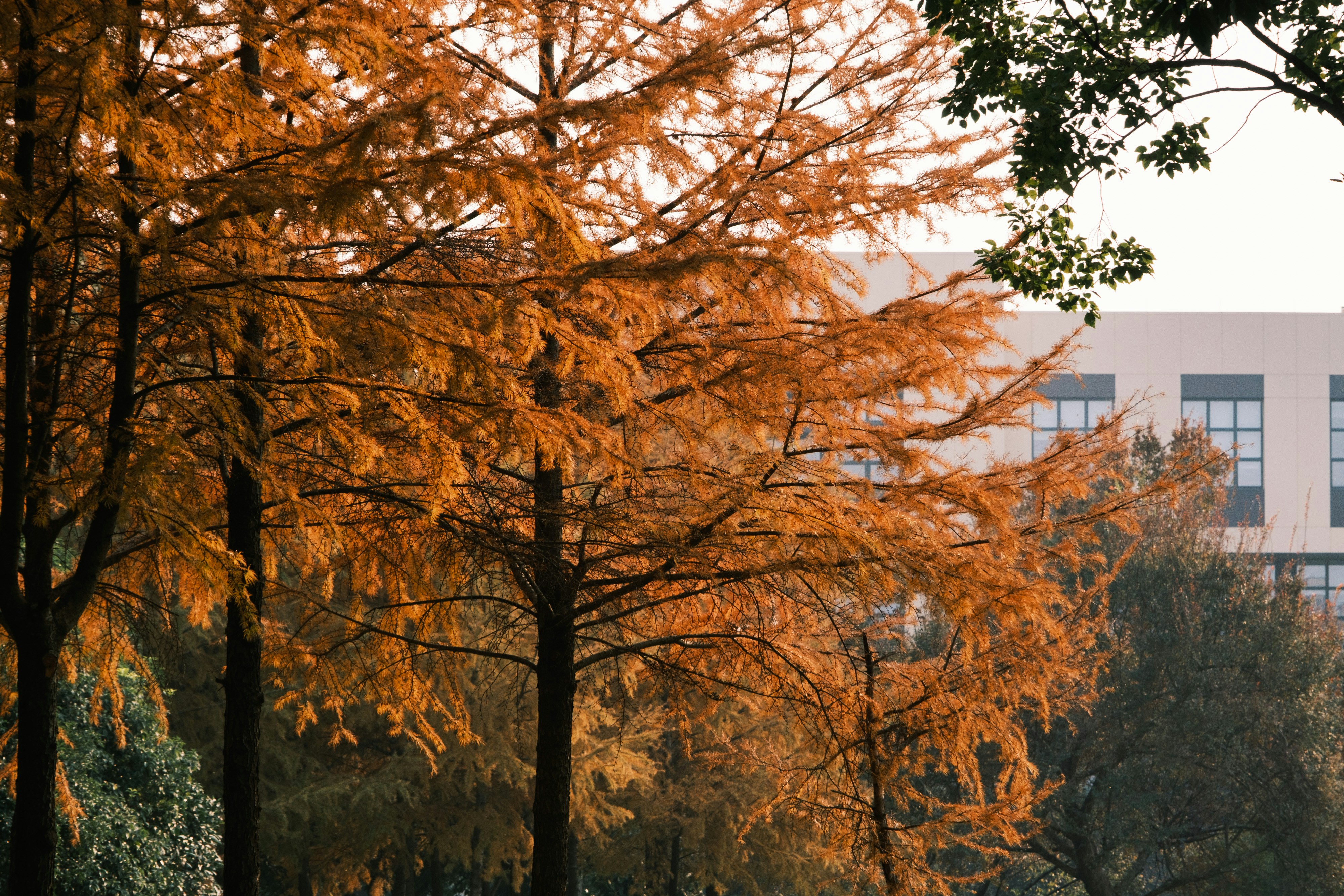 Photo by samuelwu