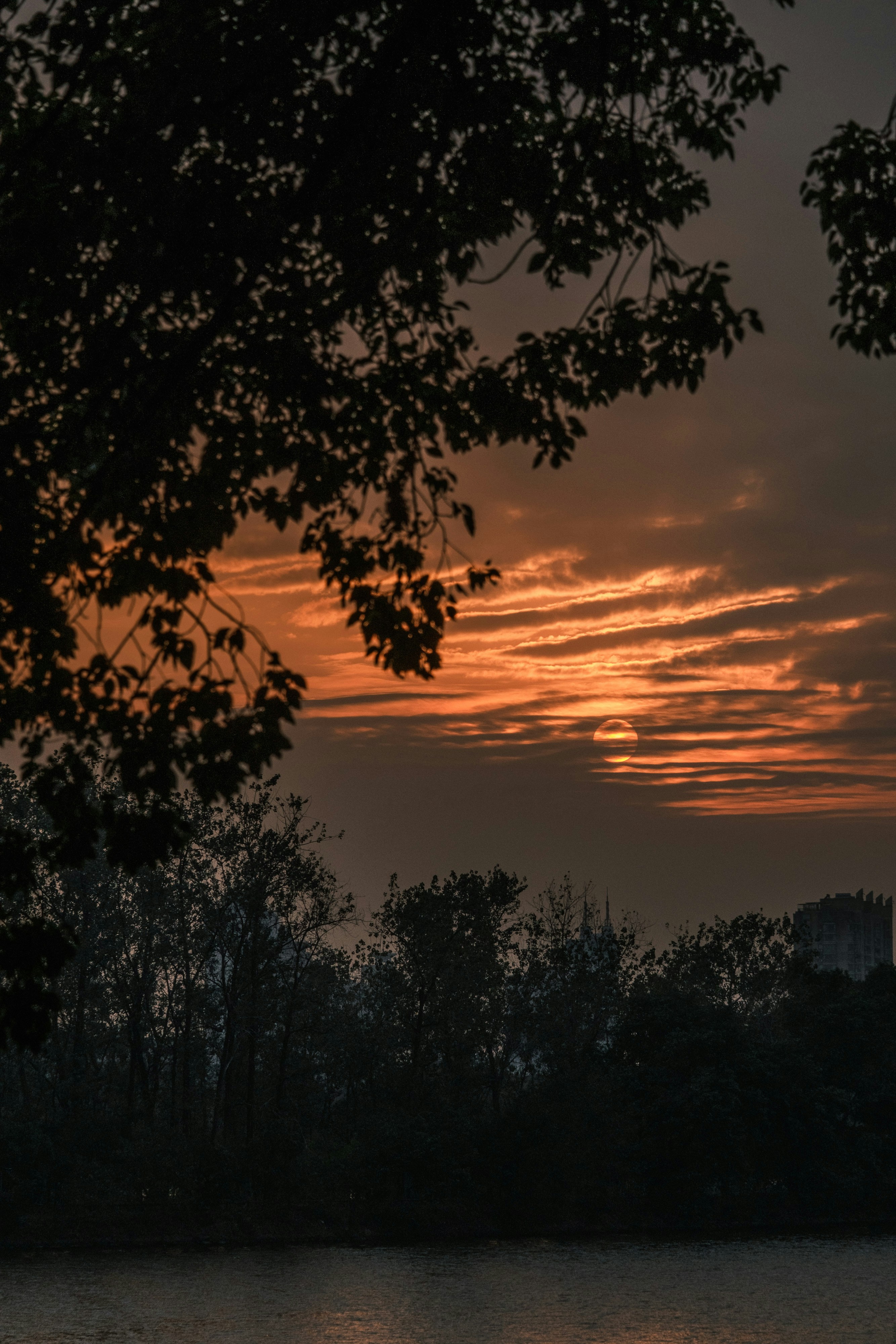 Photo by samuelwu
