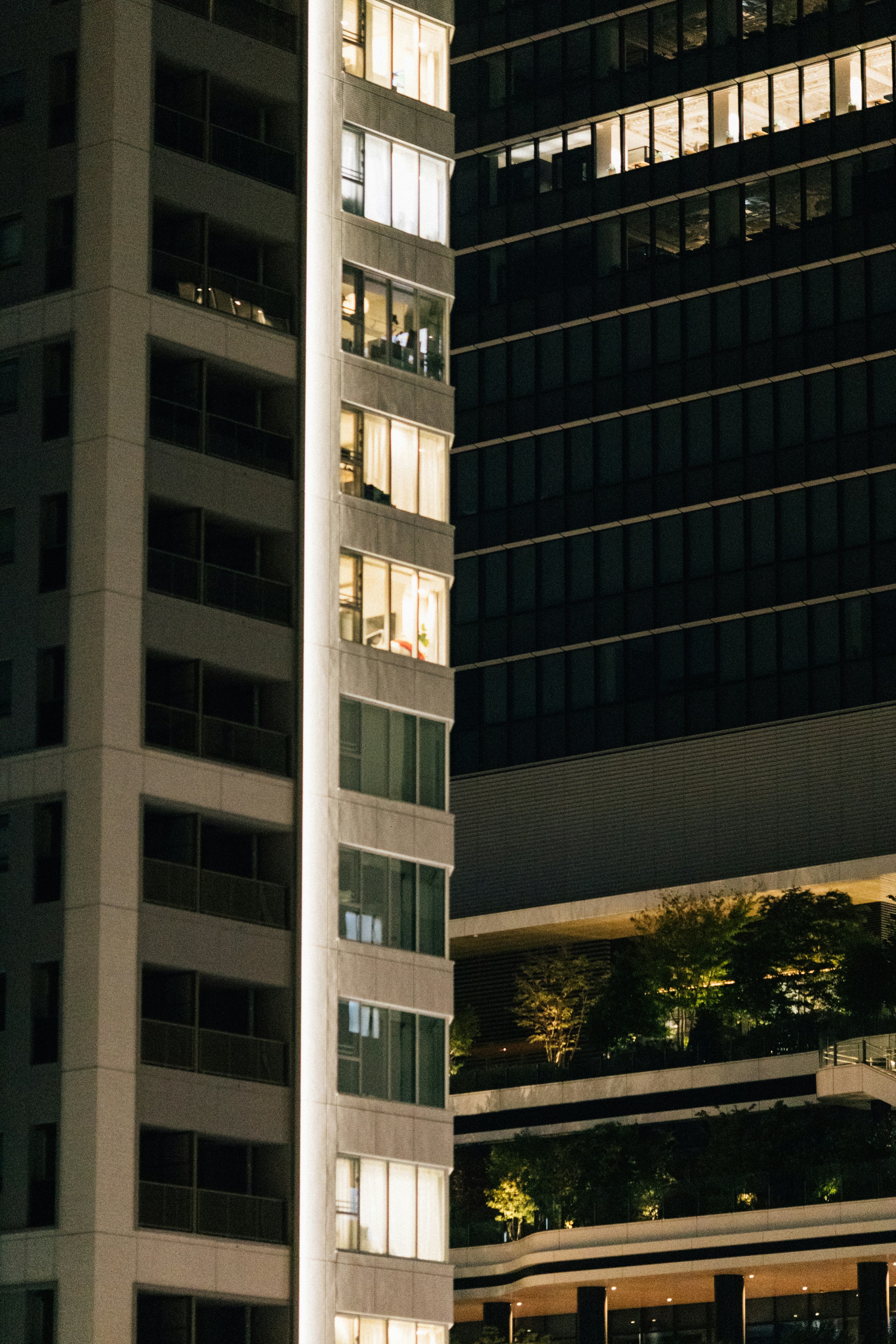 Photo by tsuyoshikozu