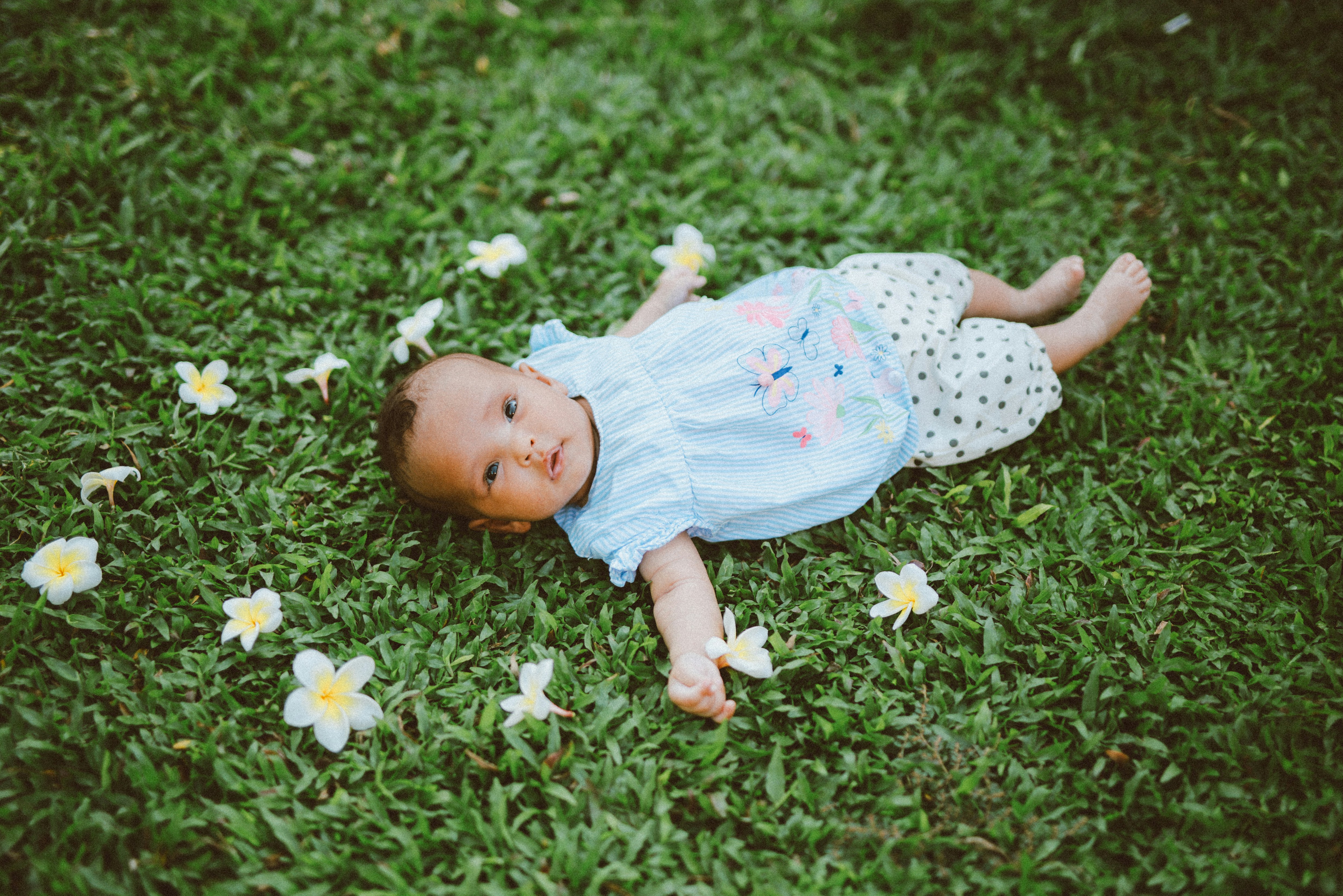 Photo by hoianphotographer