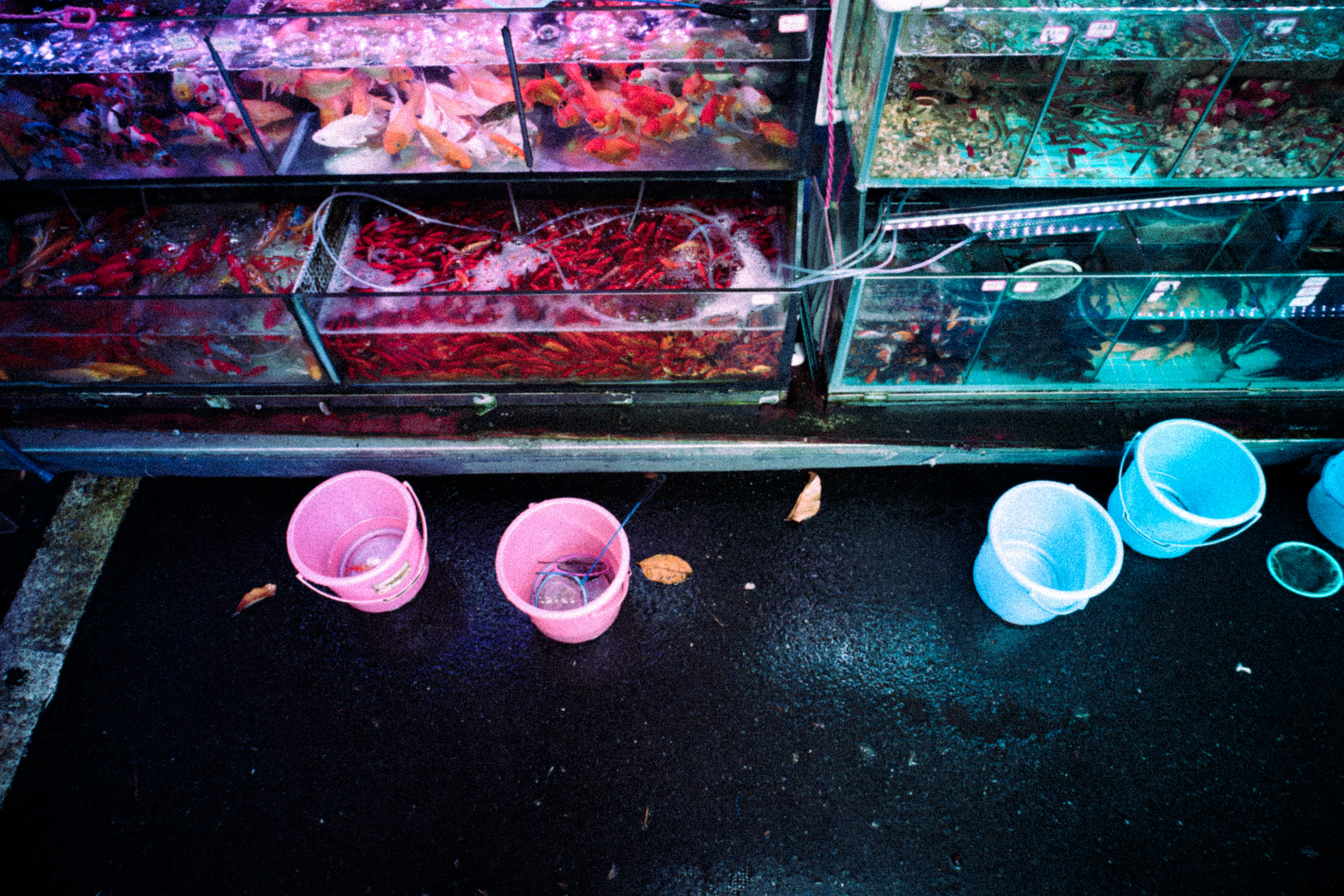 Small-Scale Pop‑Ups & Microstores for Pet Brands in 2026: A Tactical Playbook