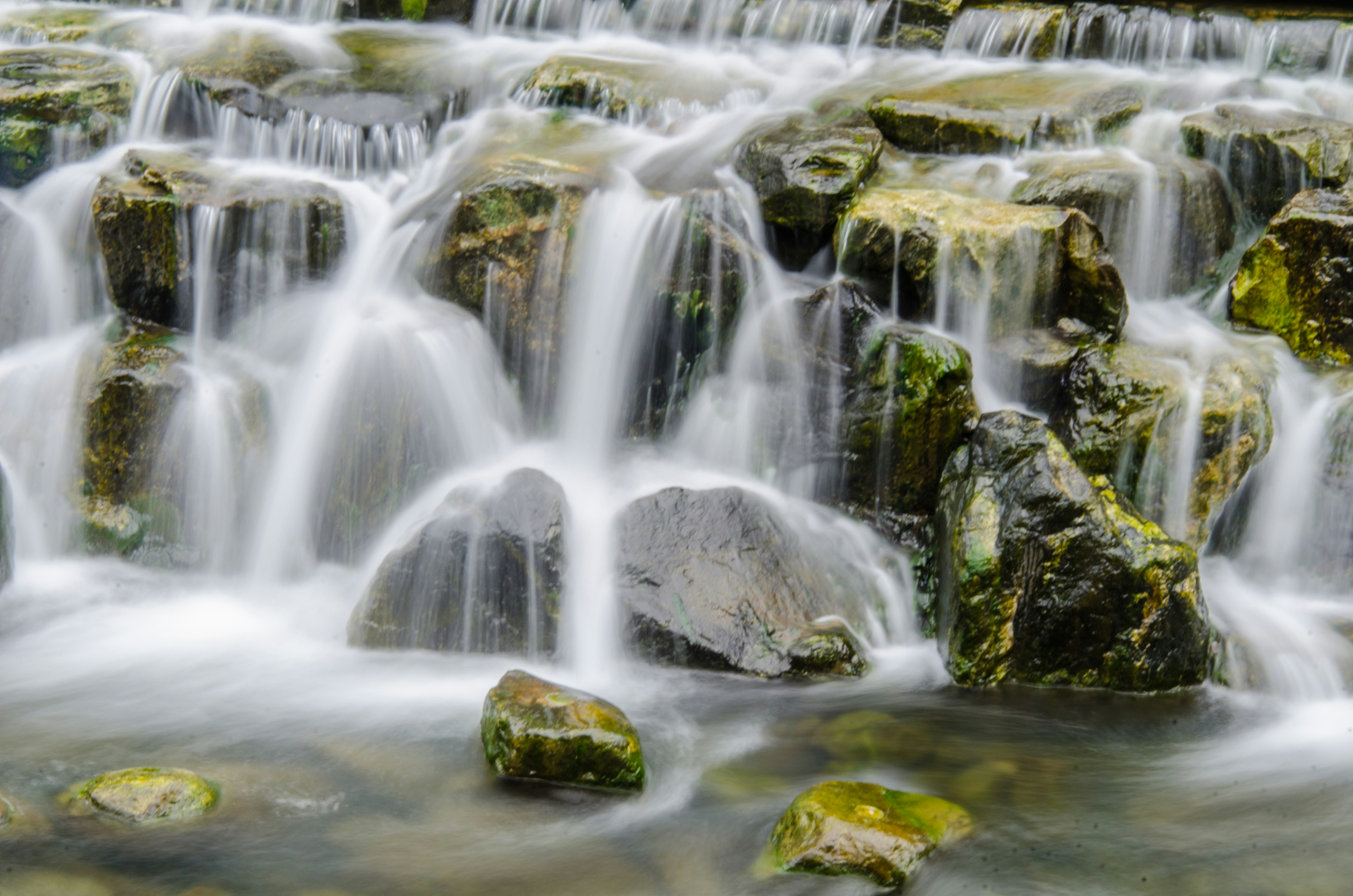 From Isolation to Belonging: Using Micro‑Communities to Tackle Food‑Related Anxiety (2026)