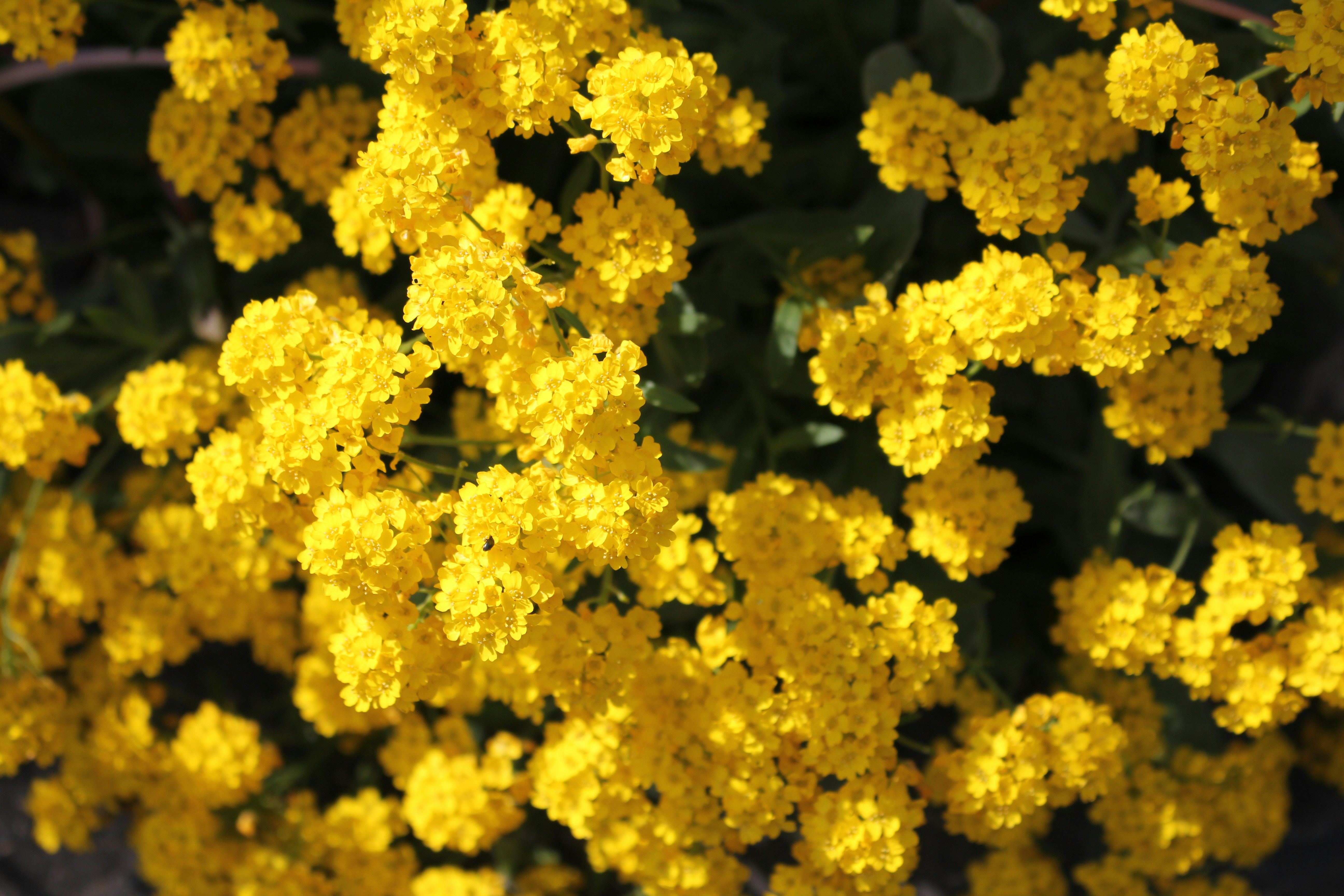 Photo by fotografie151103