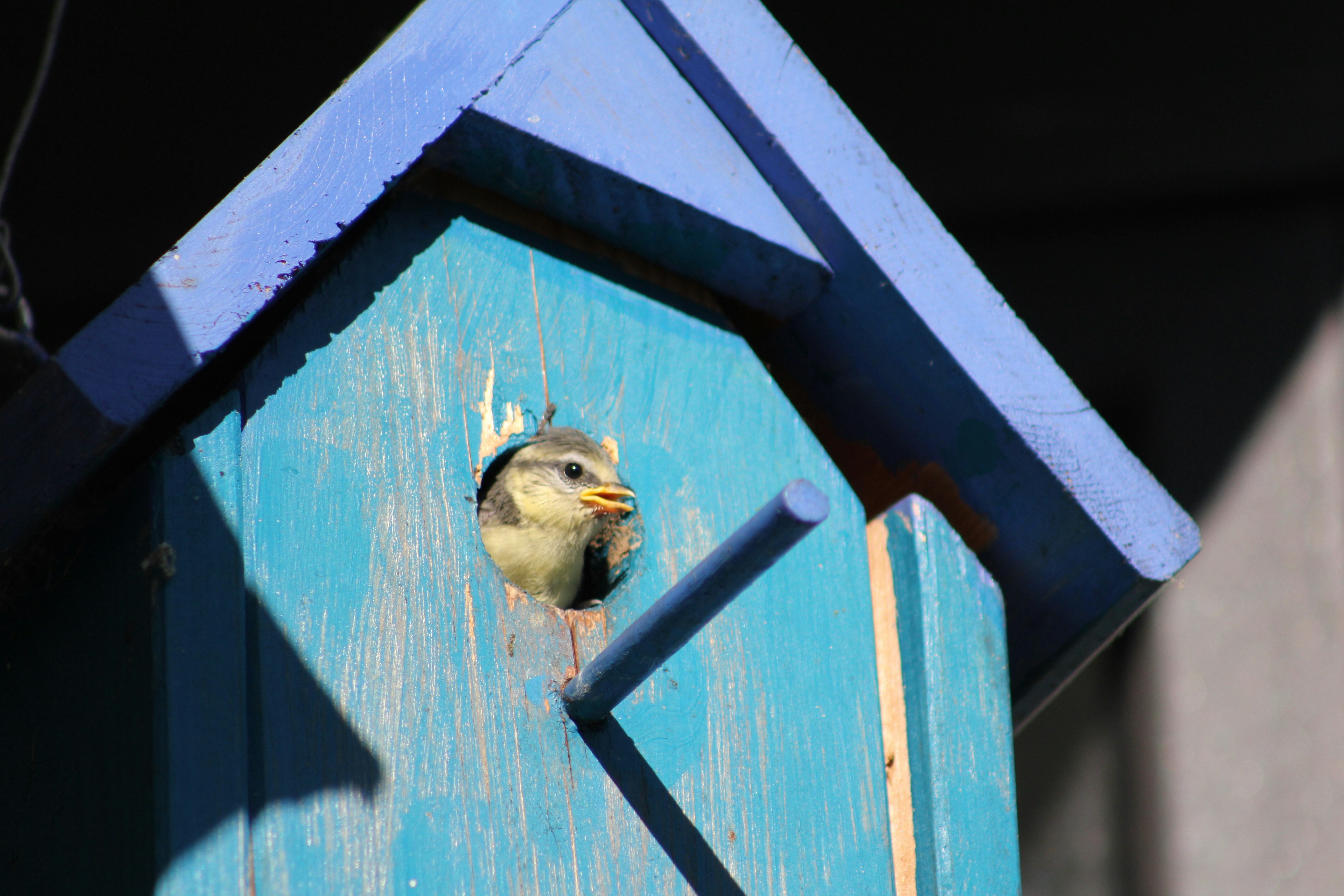 Photo by fotografie151103