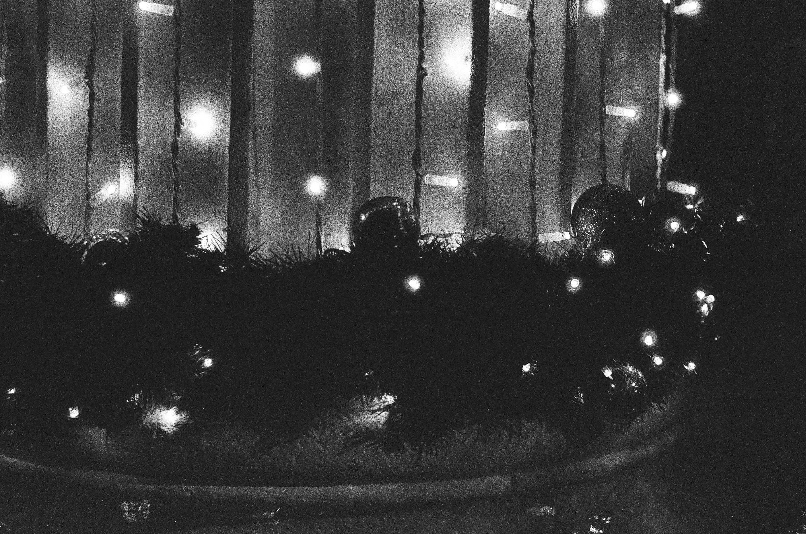 Photo by tanyabarrow