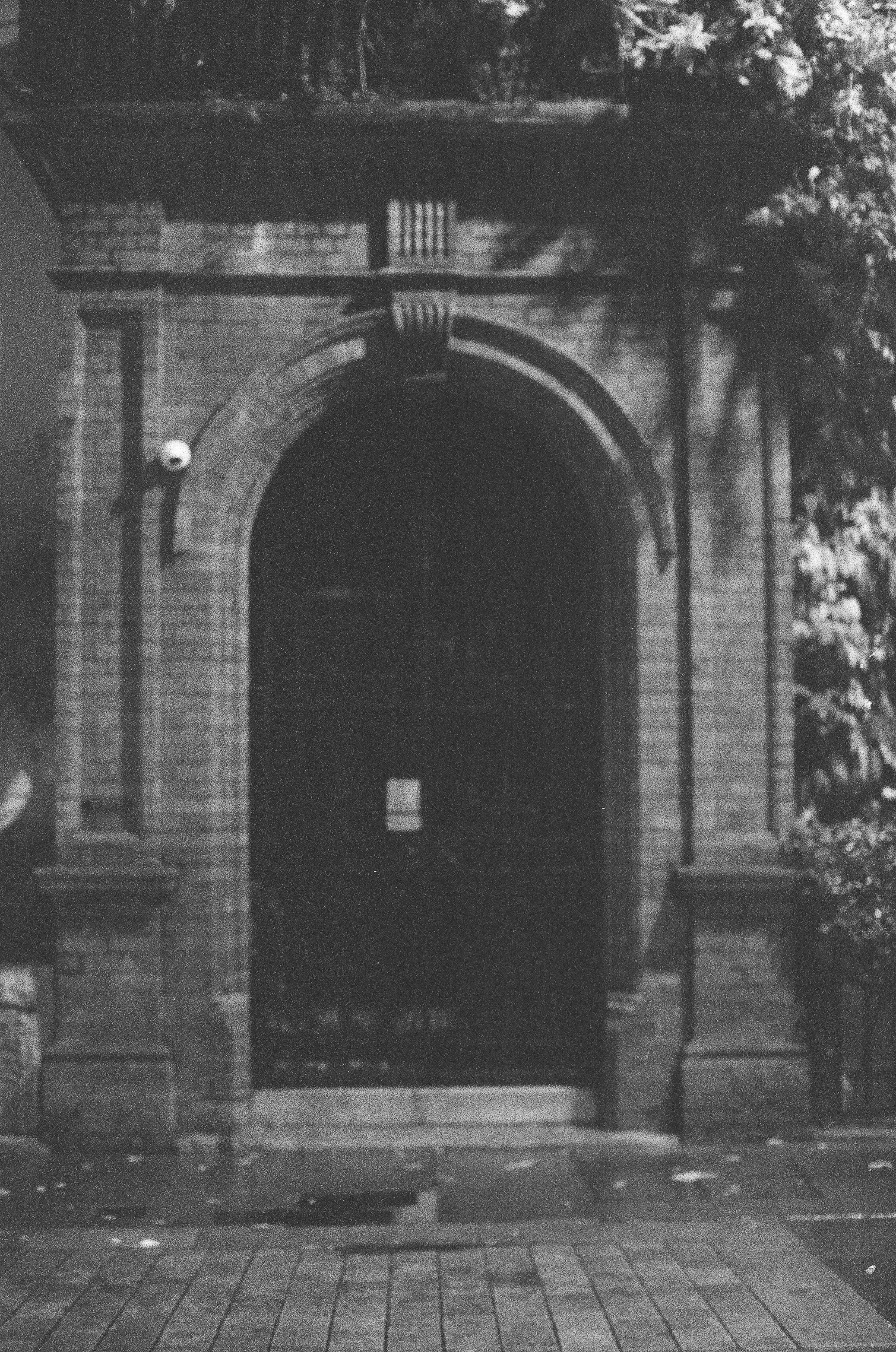 Photo by tanyabarrow