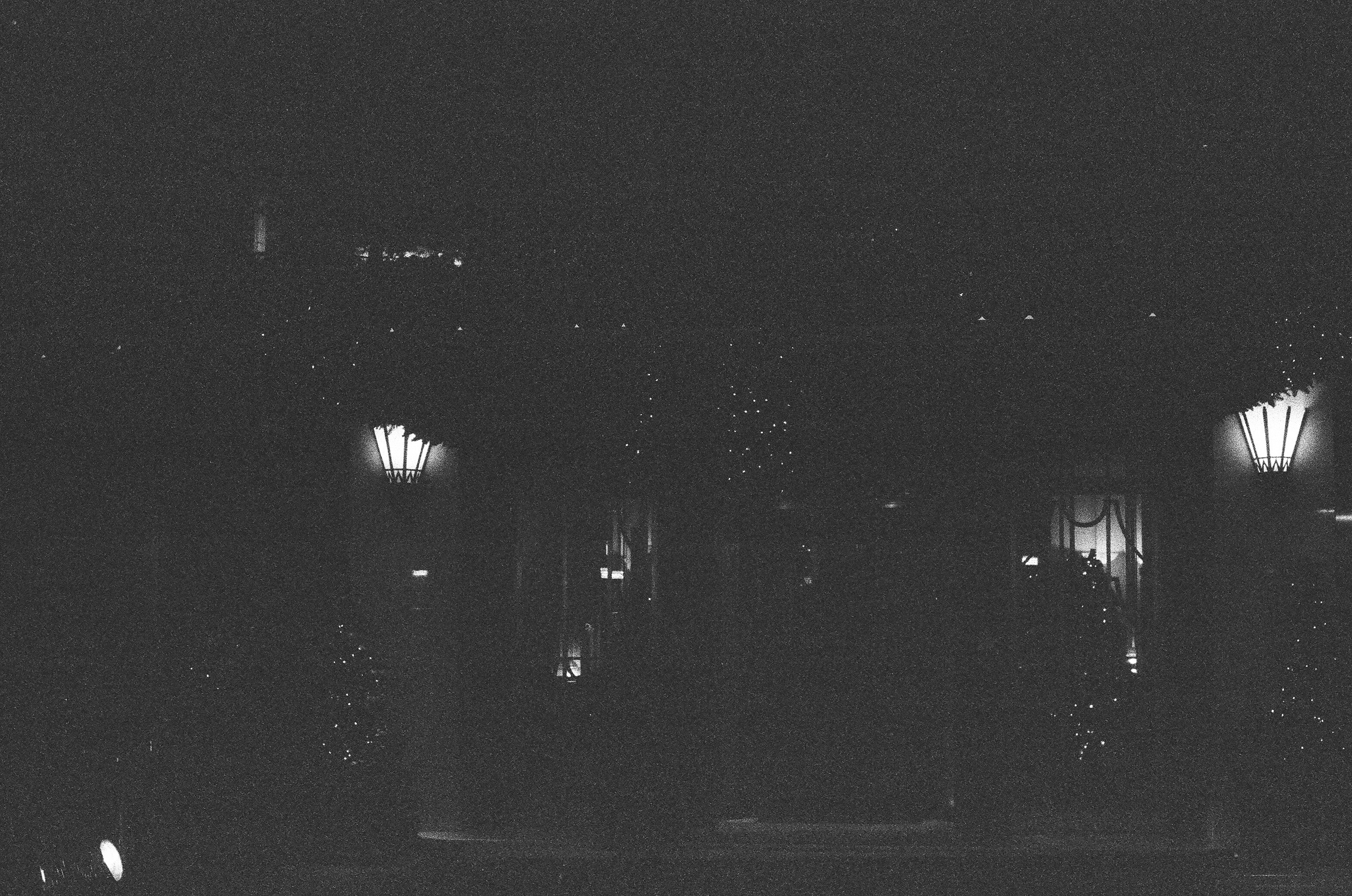 Photo by tanyabarrow