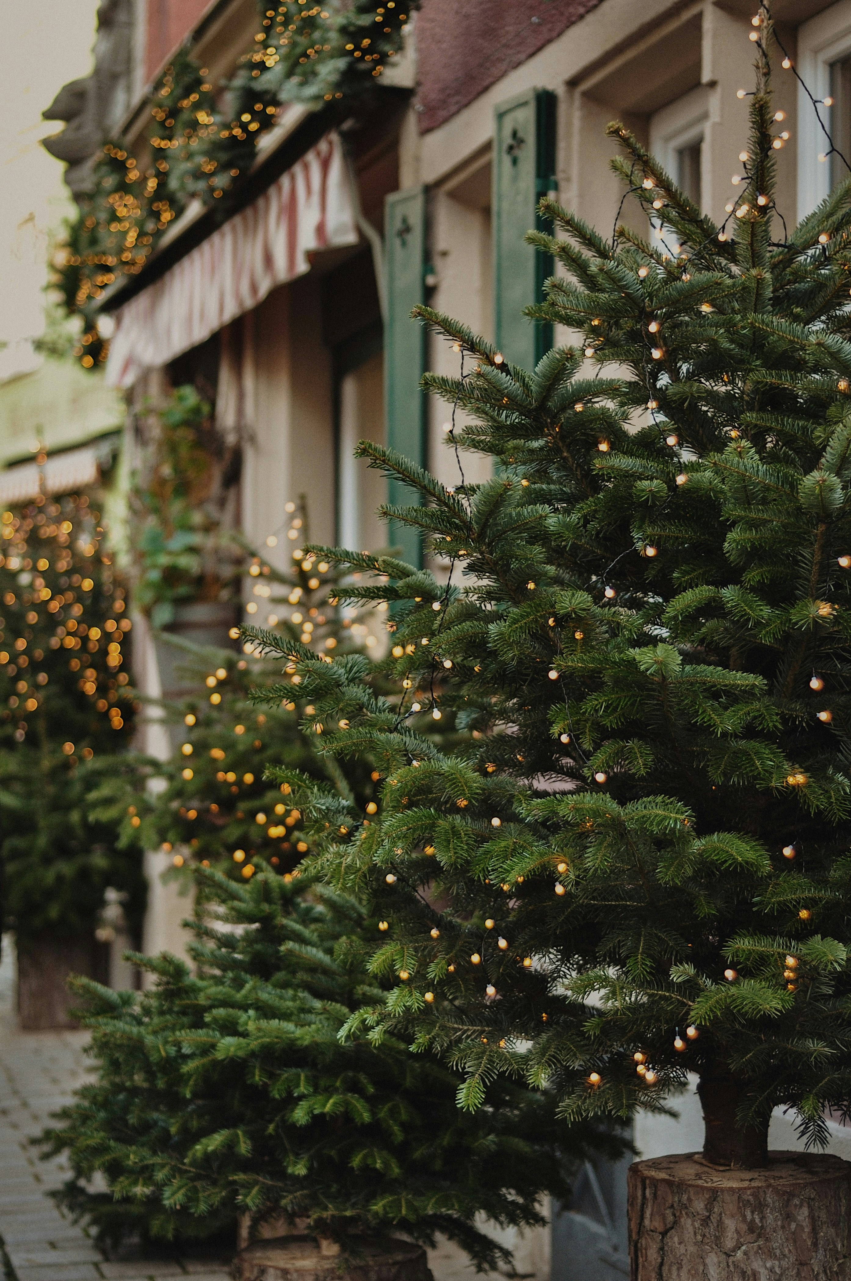 Photo by gorchinska88