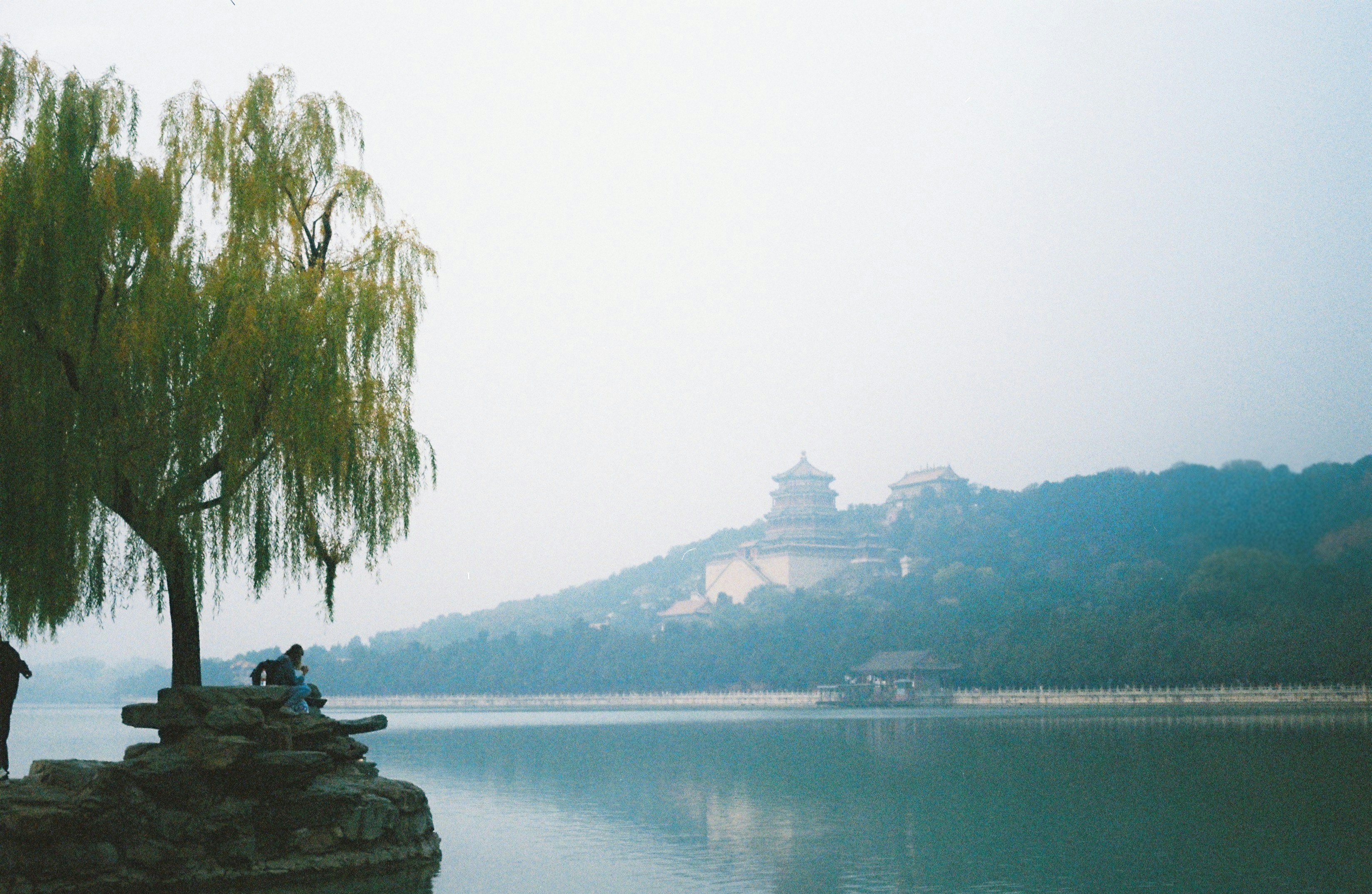 Photo by c_sritippho