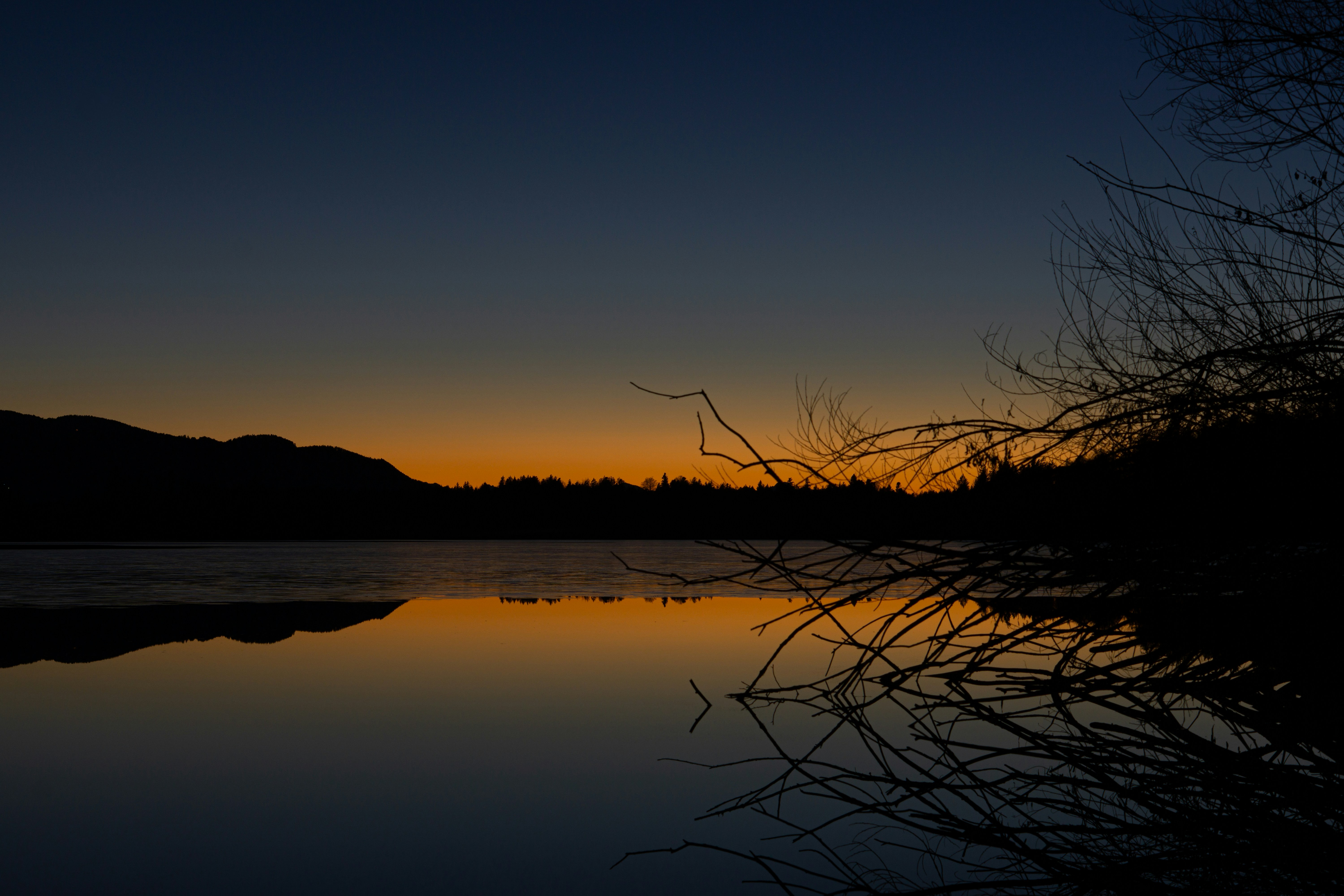 Photo by the_world_according_to_mickey_