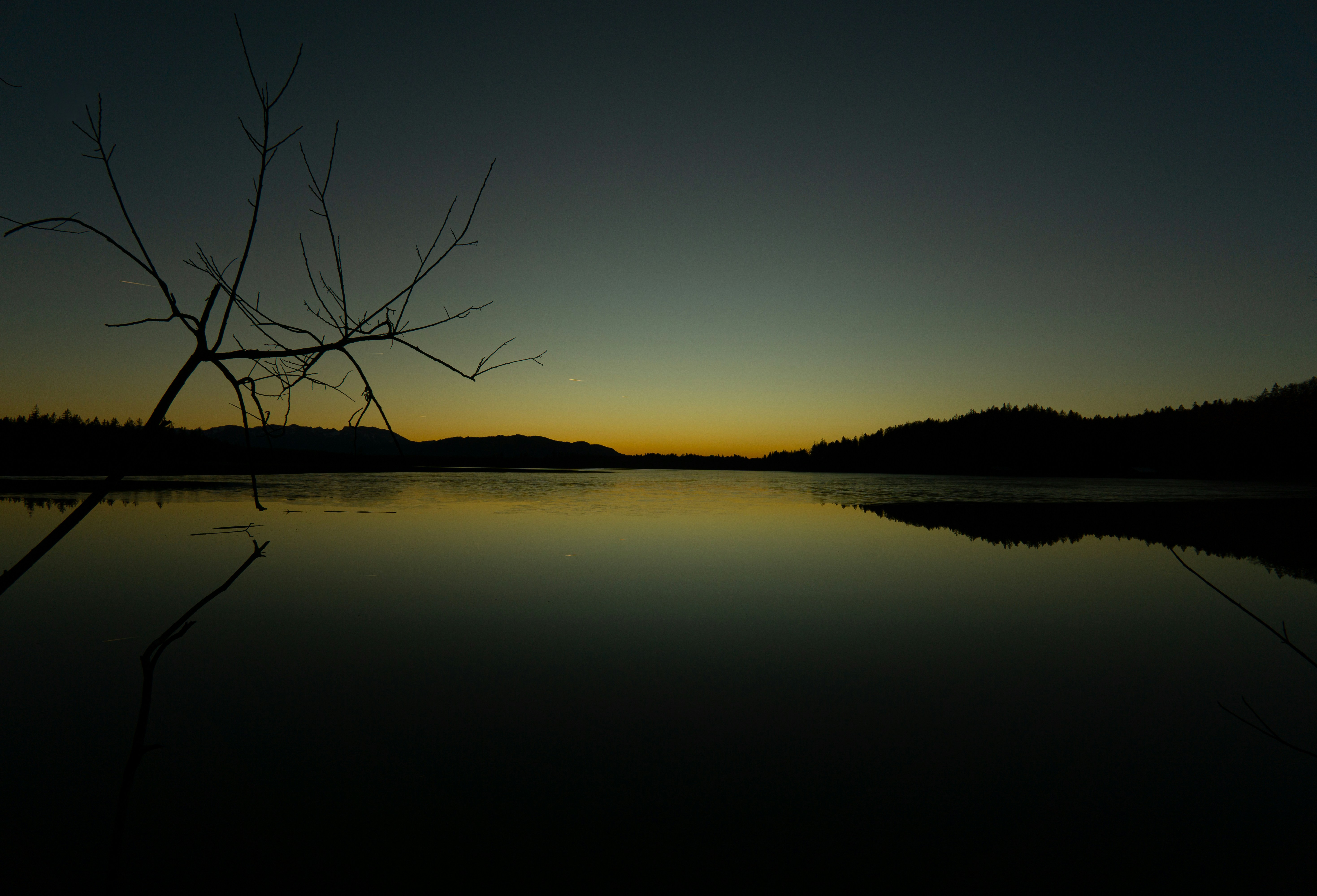 Photo by the_world_according_to_mickey_