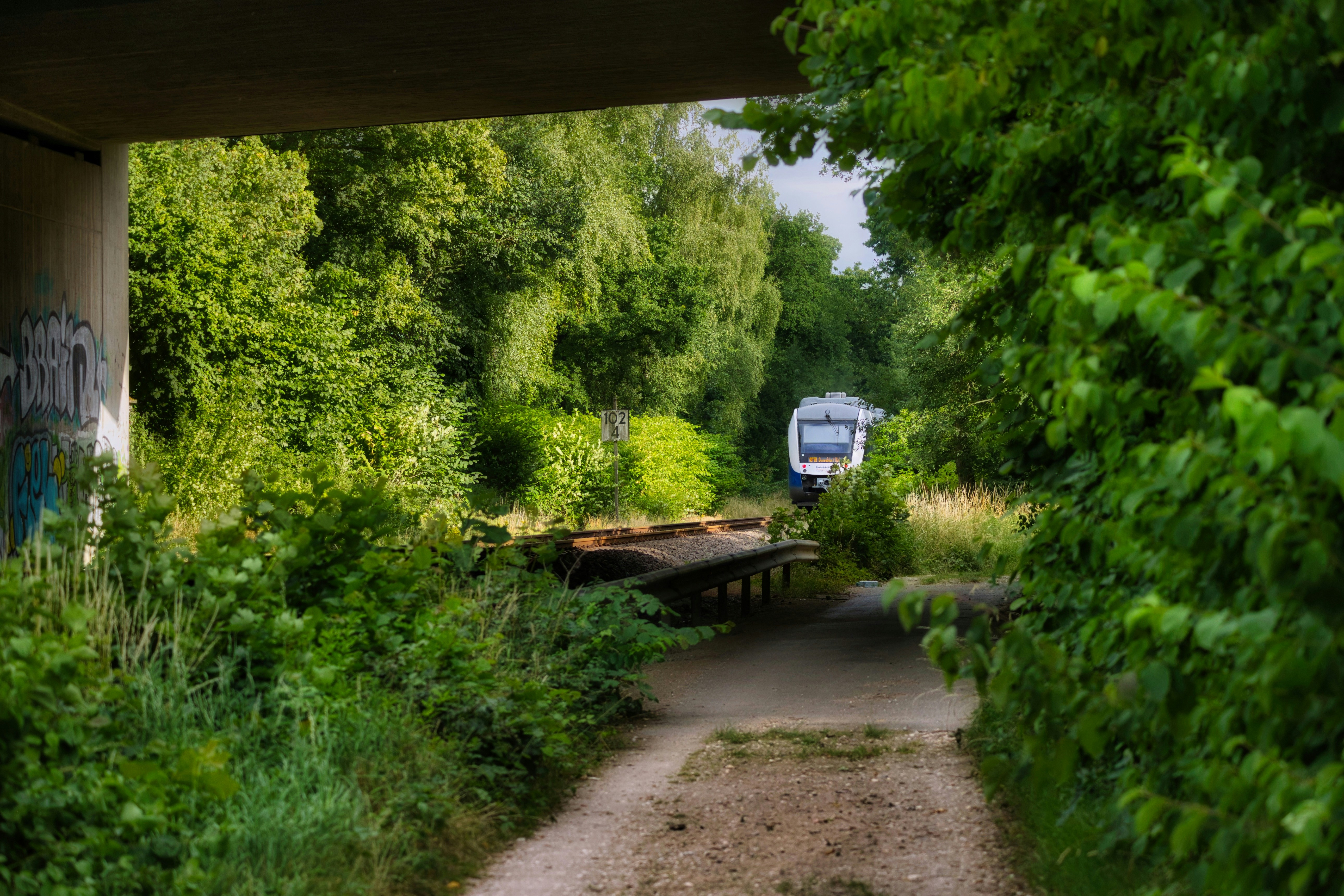 Train approaches on a track through lush greenery.