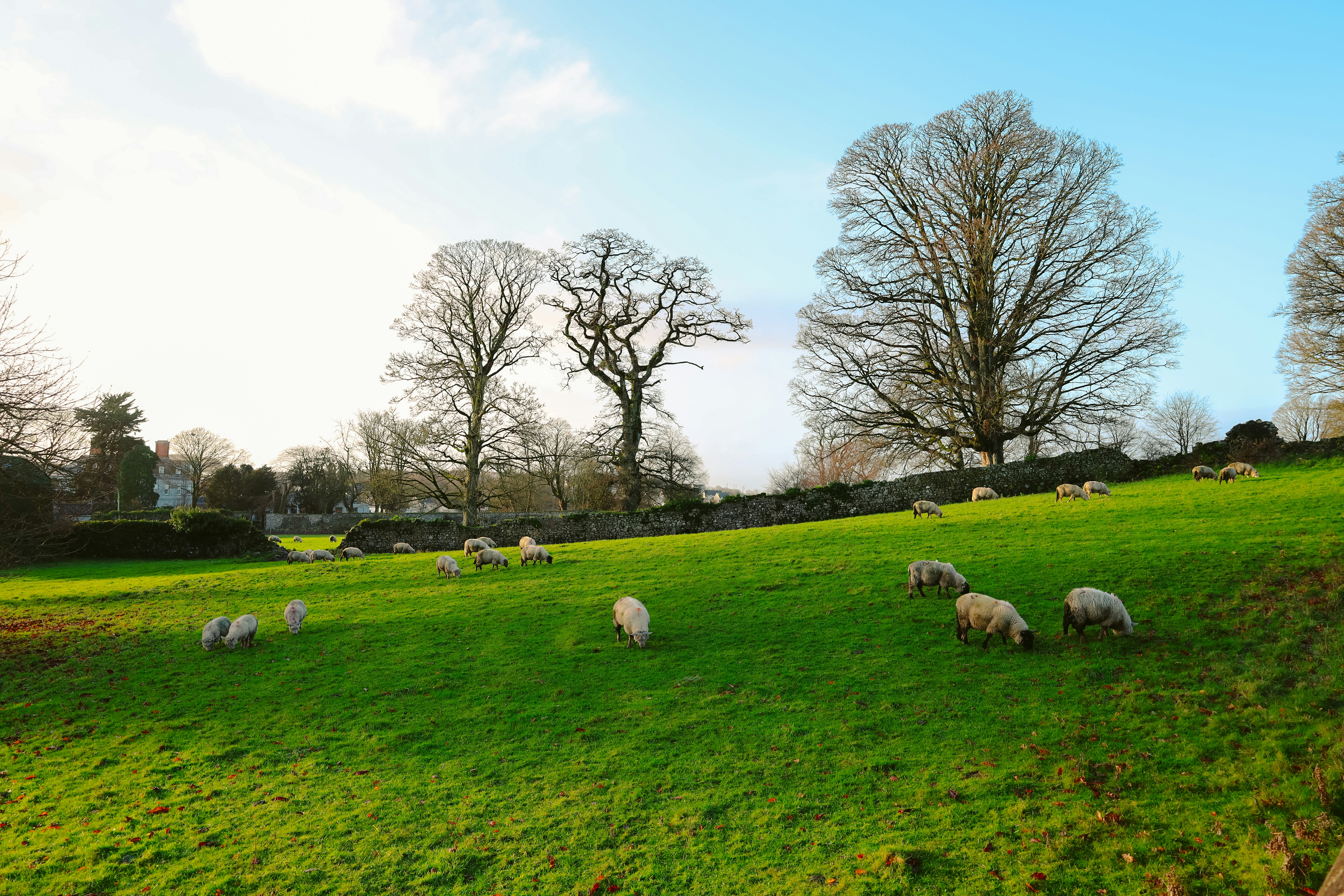 Photo by himo_beast1996