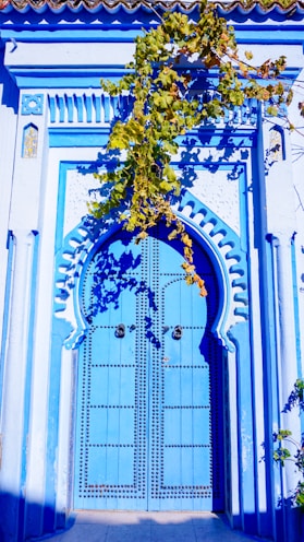 Ornate blue door with vine growing over it