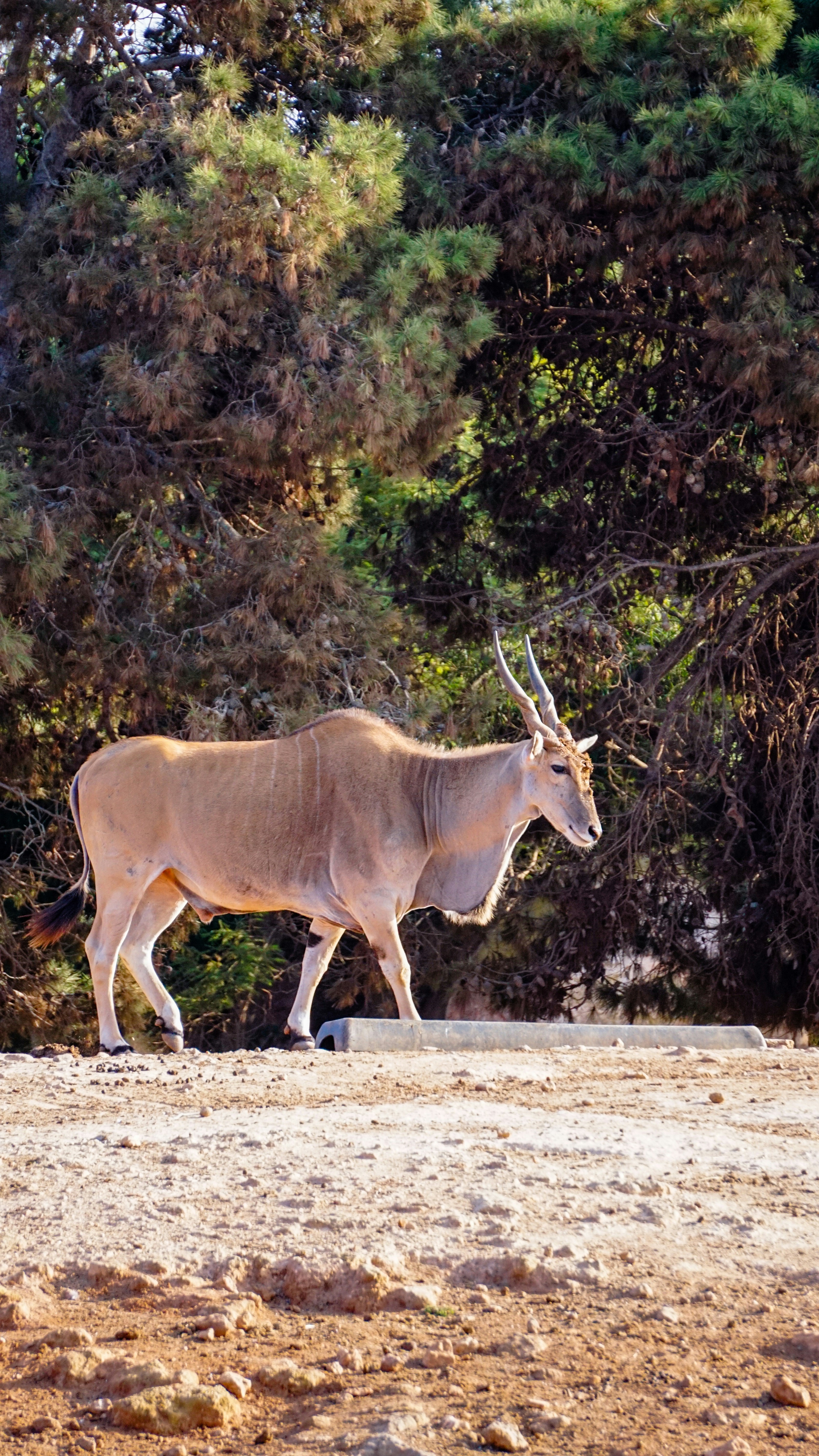 Photo by moroccopictures