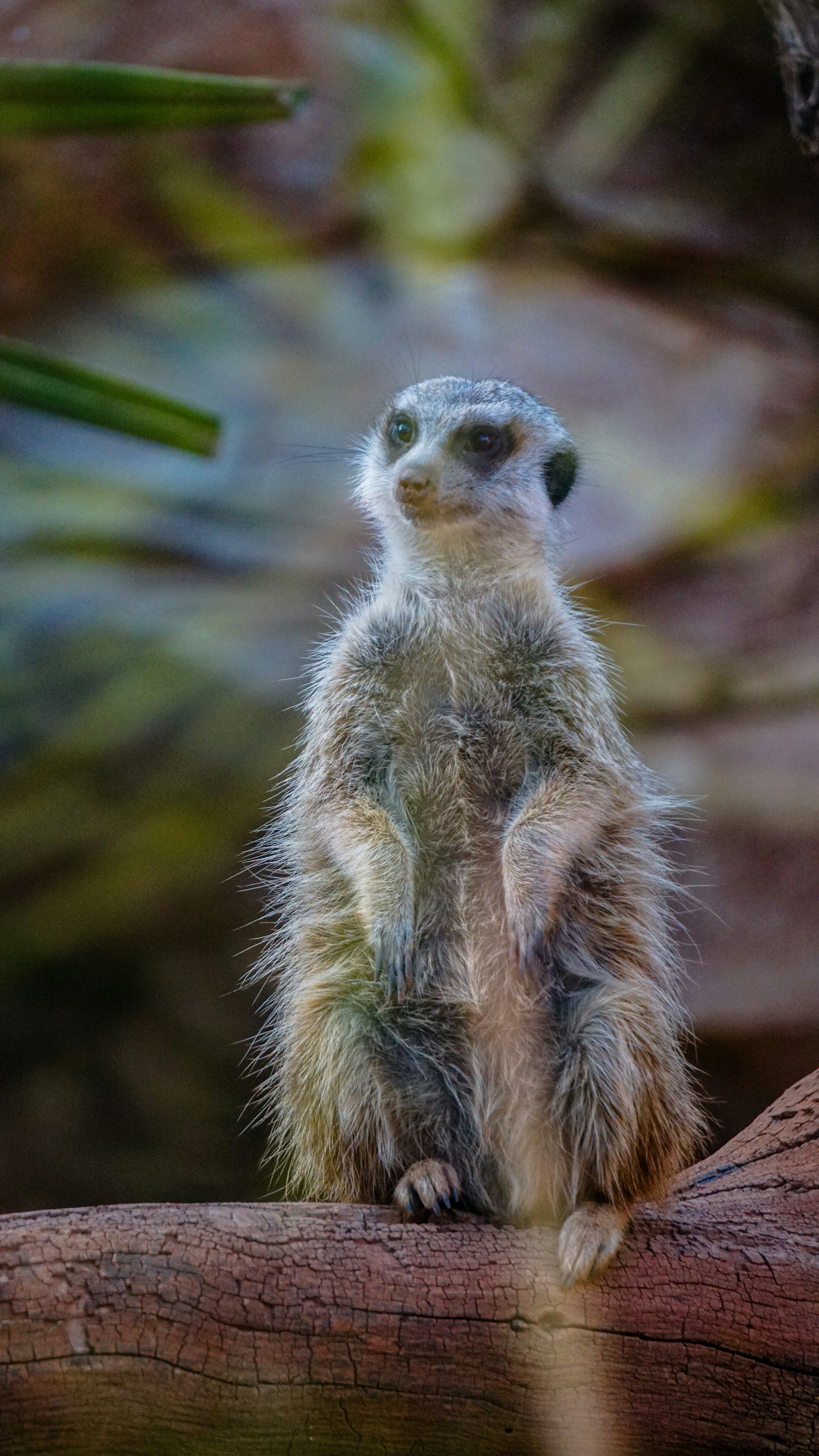 Photo by moroccopictures