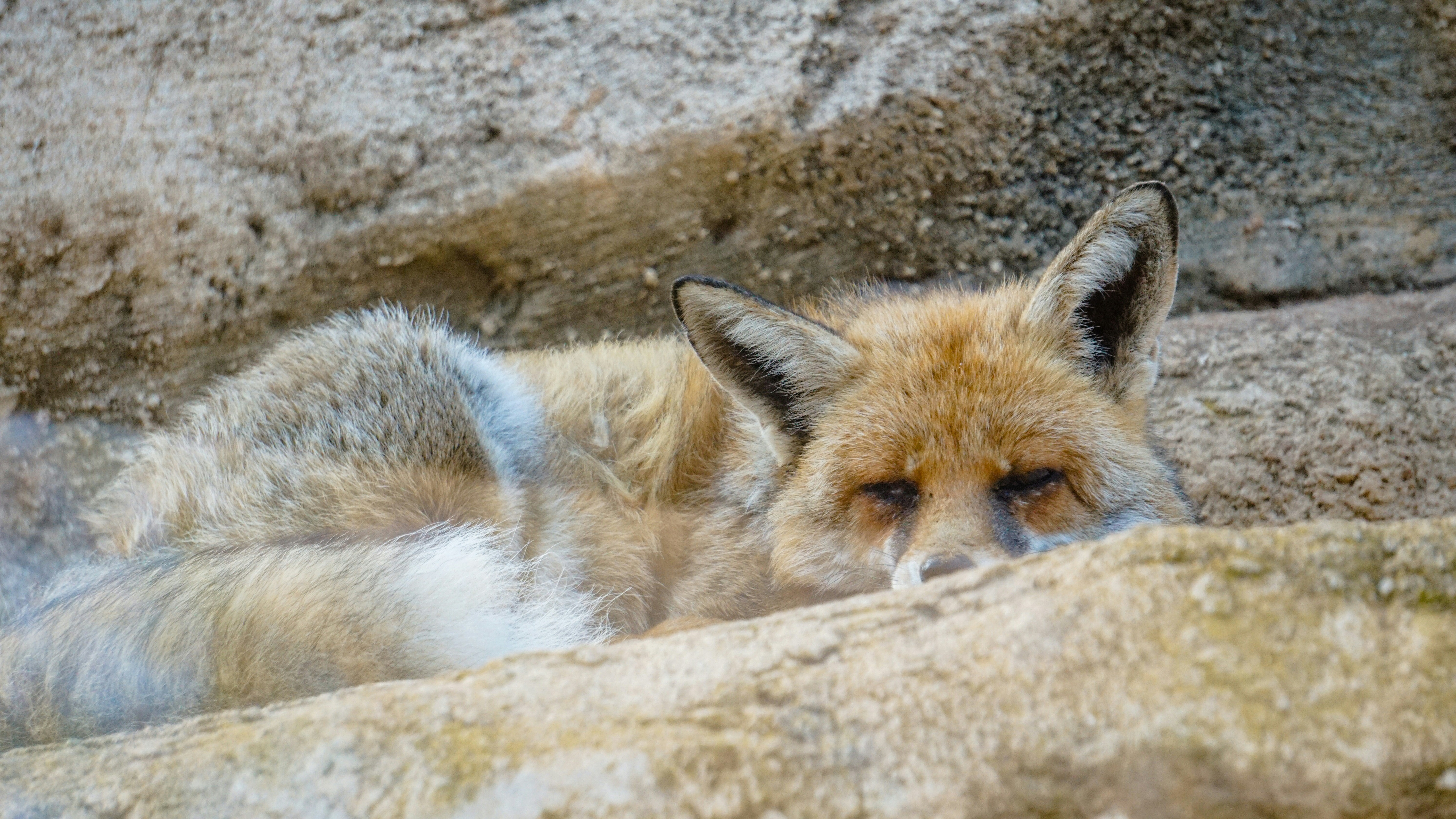 Photo by moroccopictures