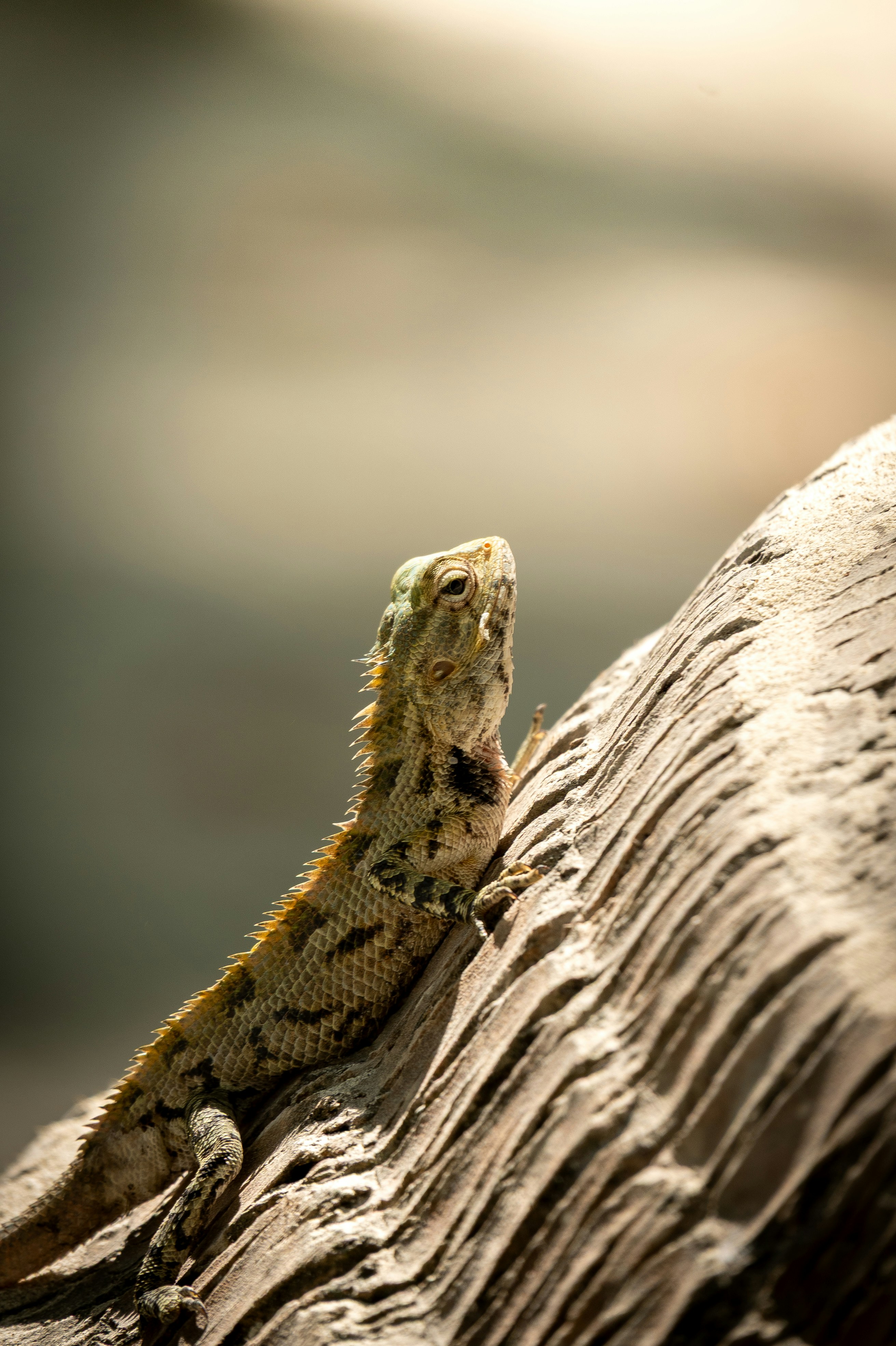 Photo by danielsphotograpic