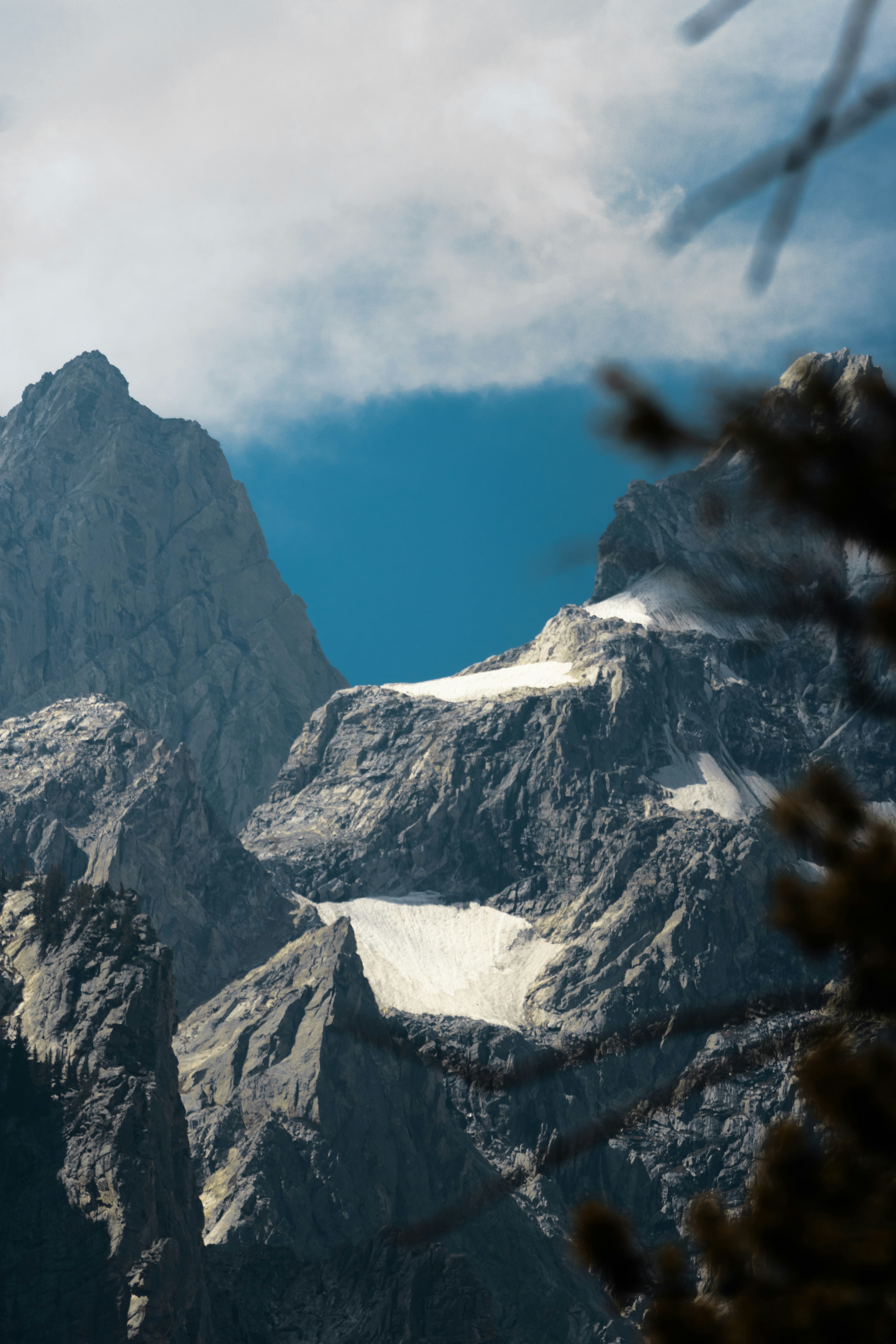 Photo by shaquillecampbell