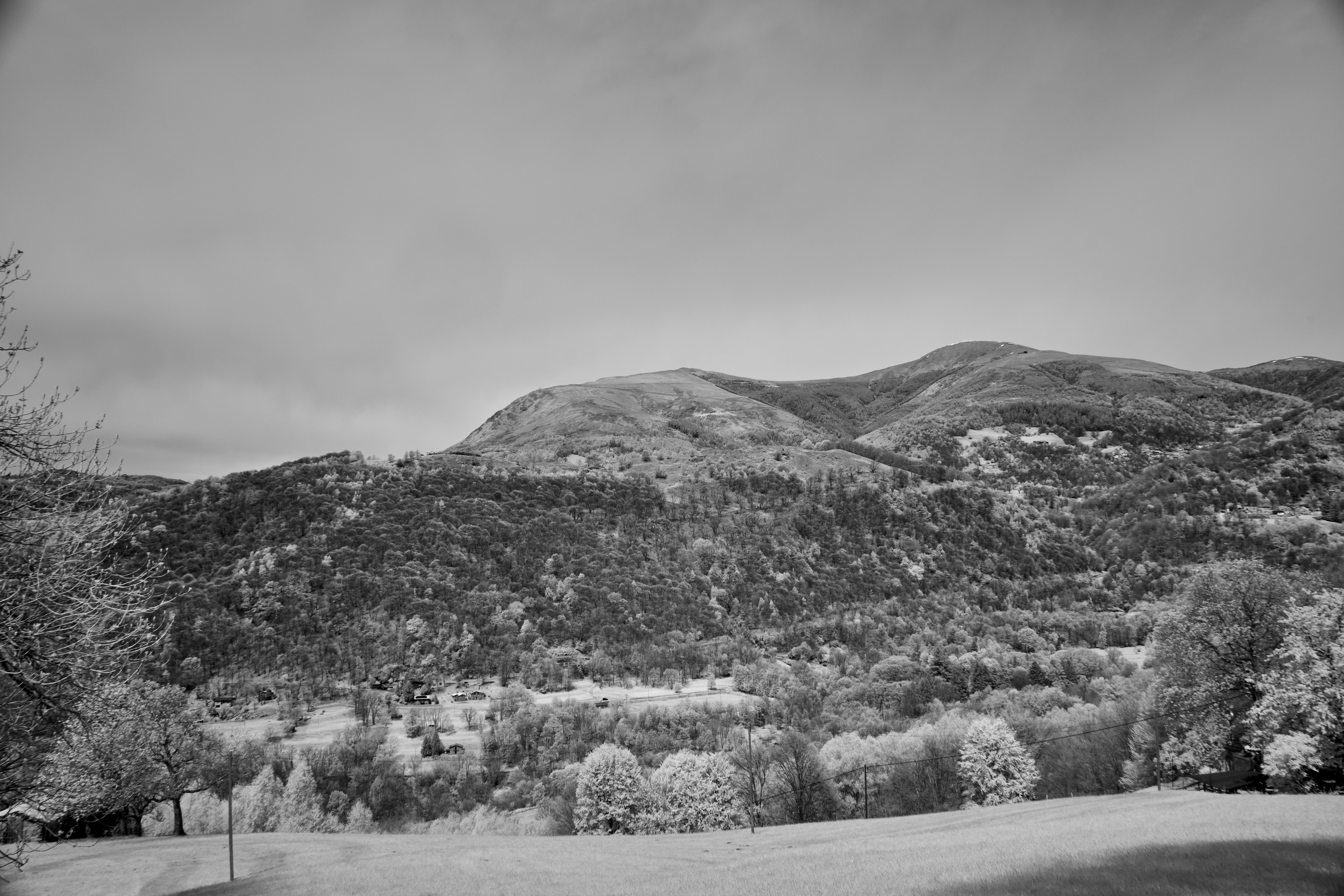 Photo by wolfgang_hasselmann