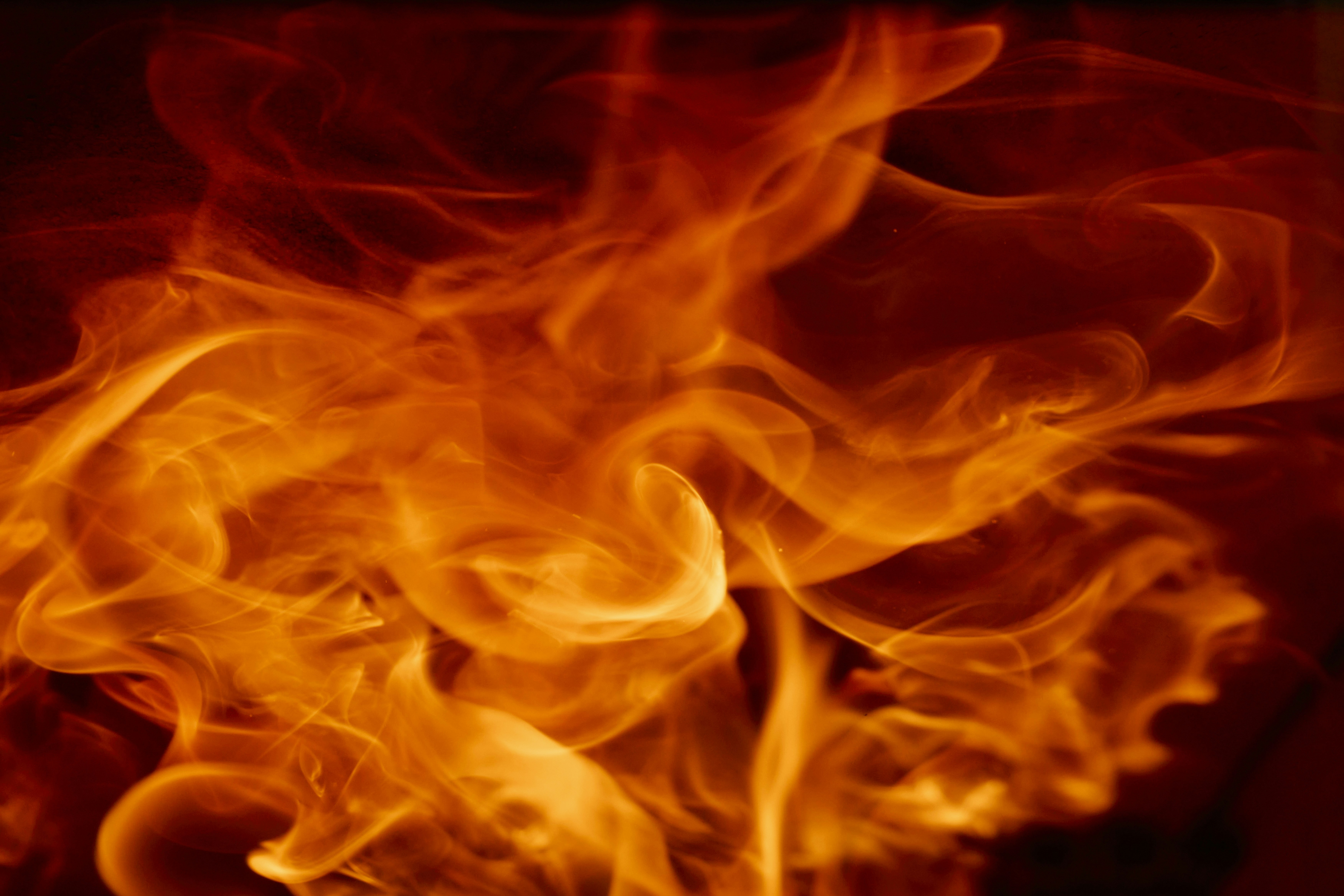 Photo by wolfgang_hasselmann