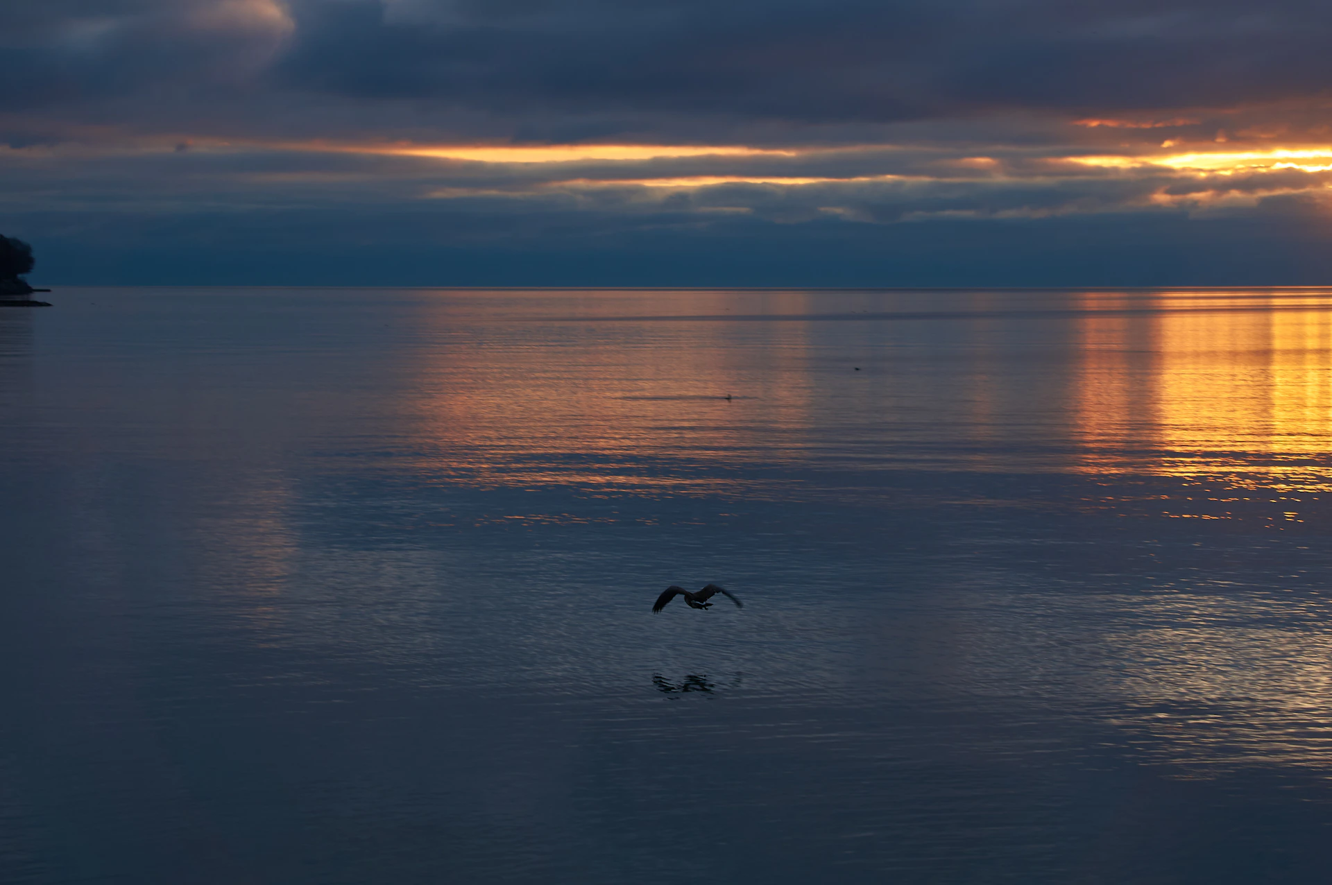 A seagull flies over the ocean at sunset