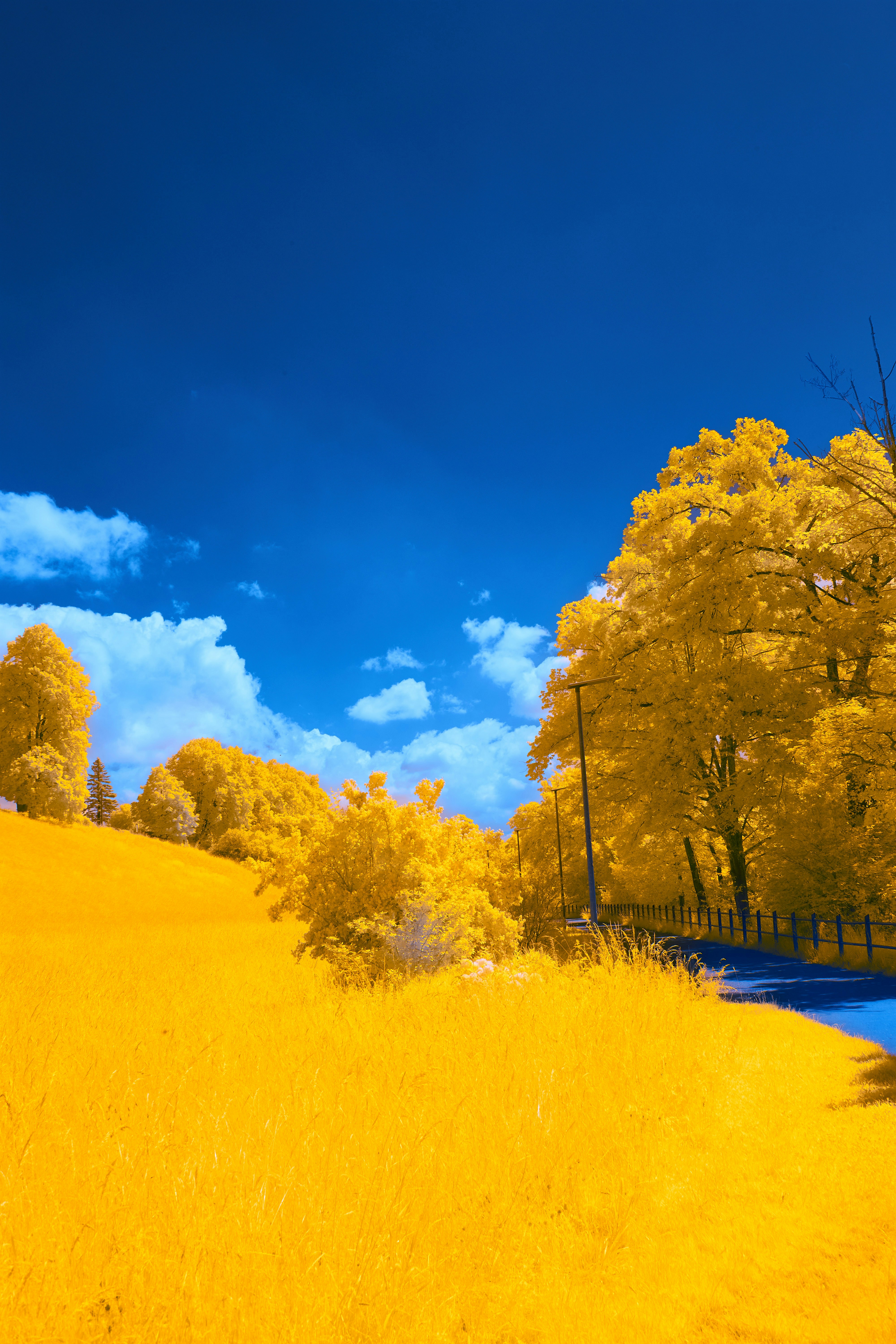 Photo by wolfgang_hasselmann