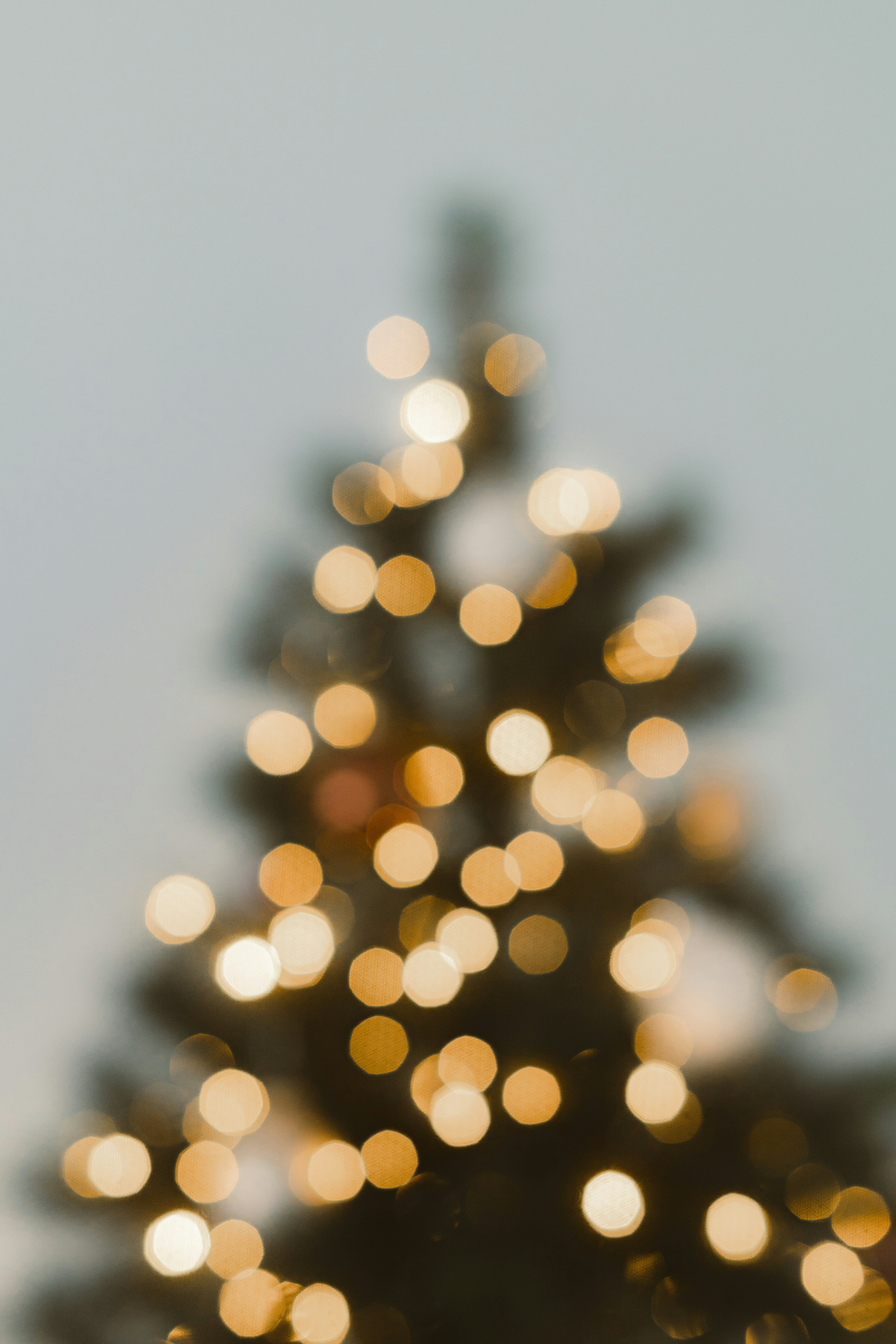 Photo by visualsbying