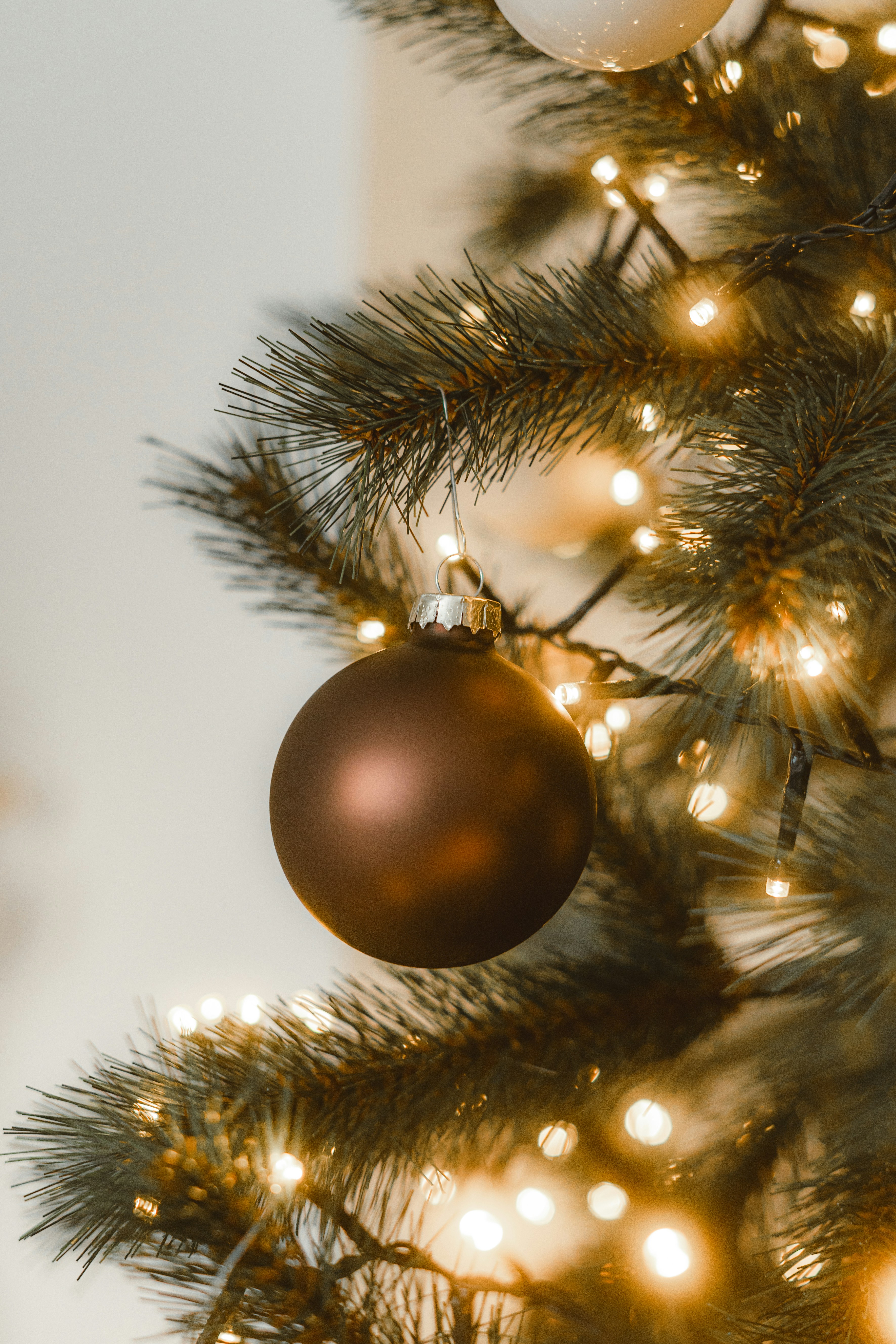 Photo by visualsbying