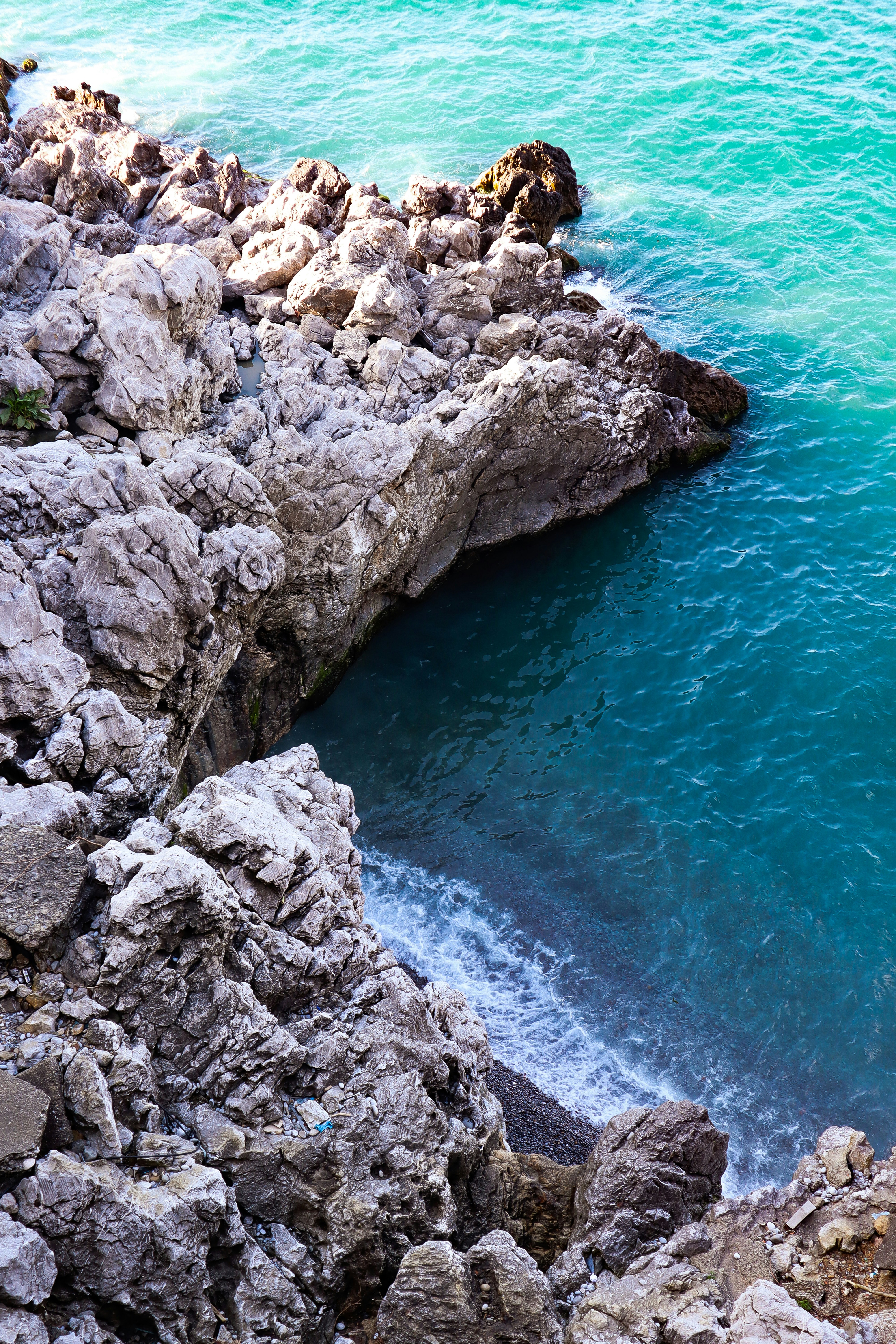 Photo by ecehasdemir