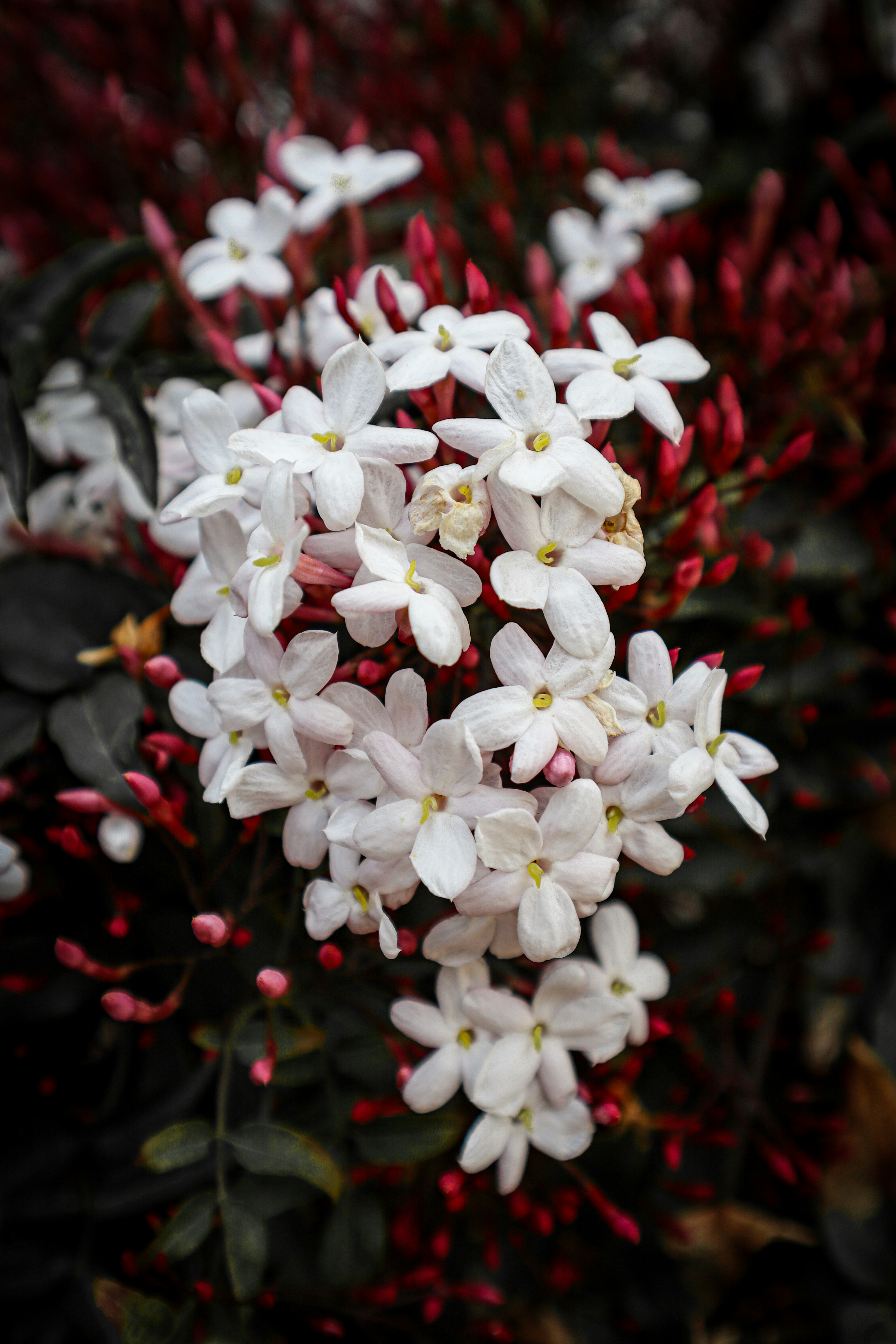 Photo by ecehasdemir