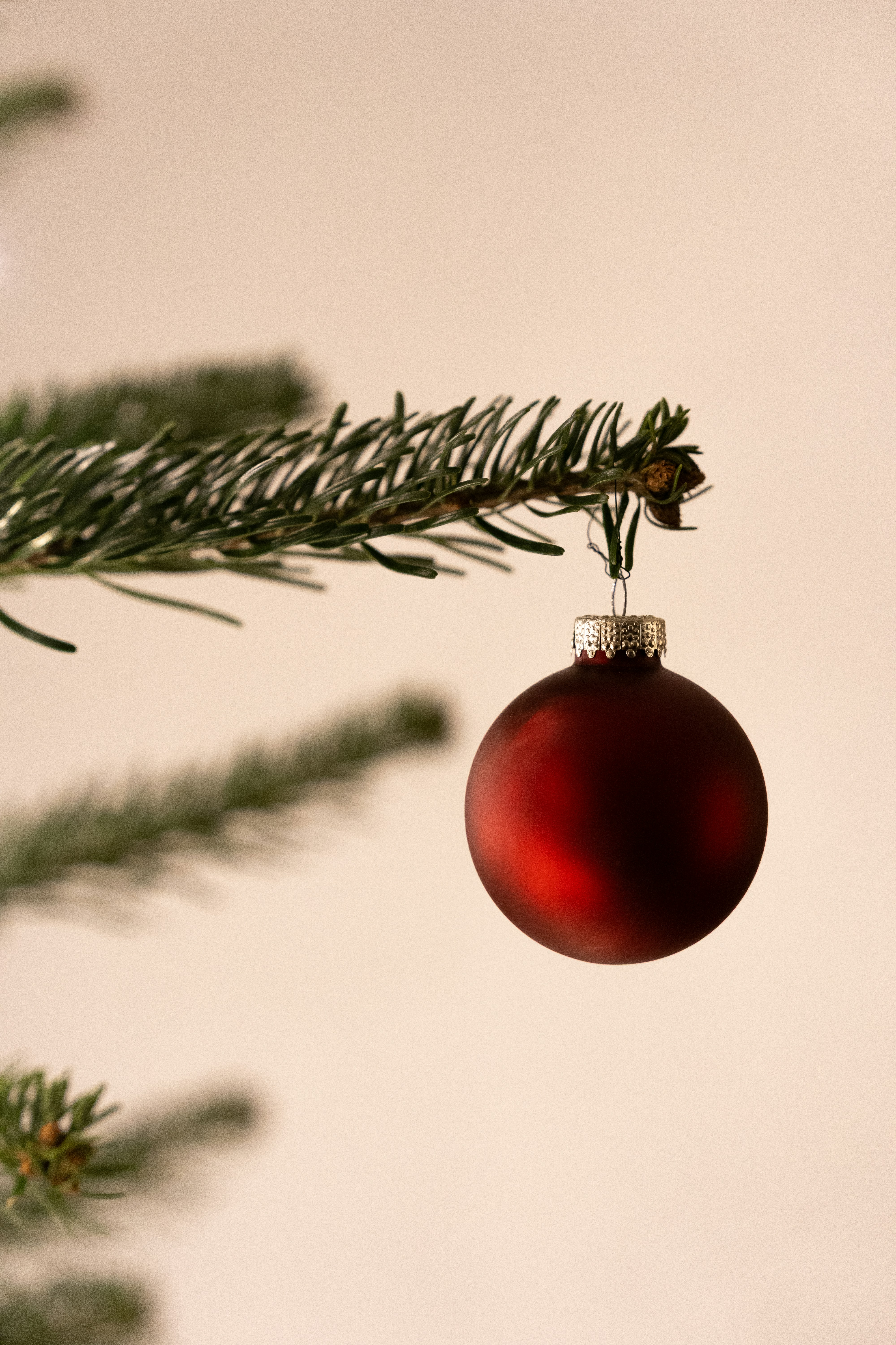 Red bauble hanging from a christmas tree branch