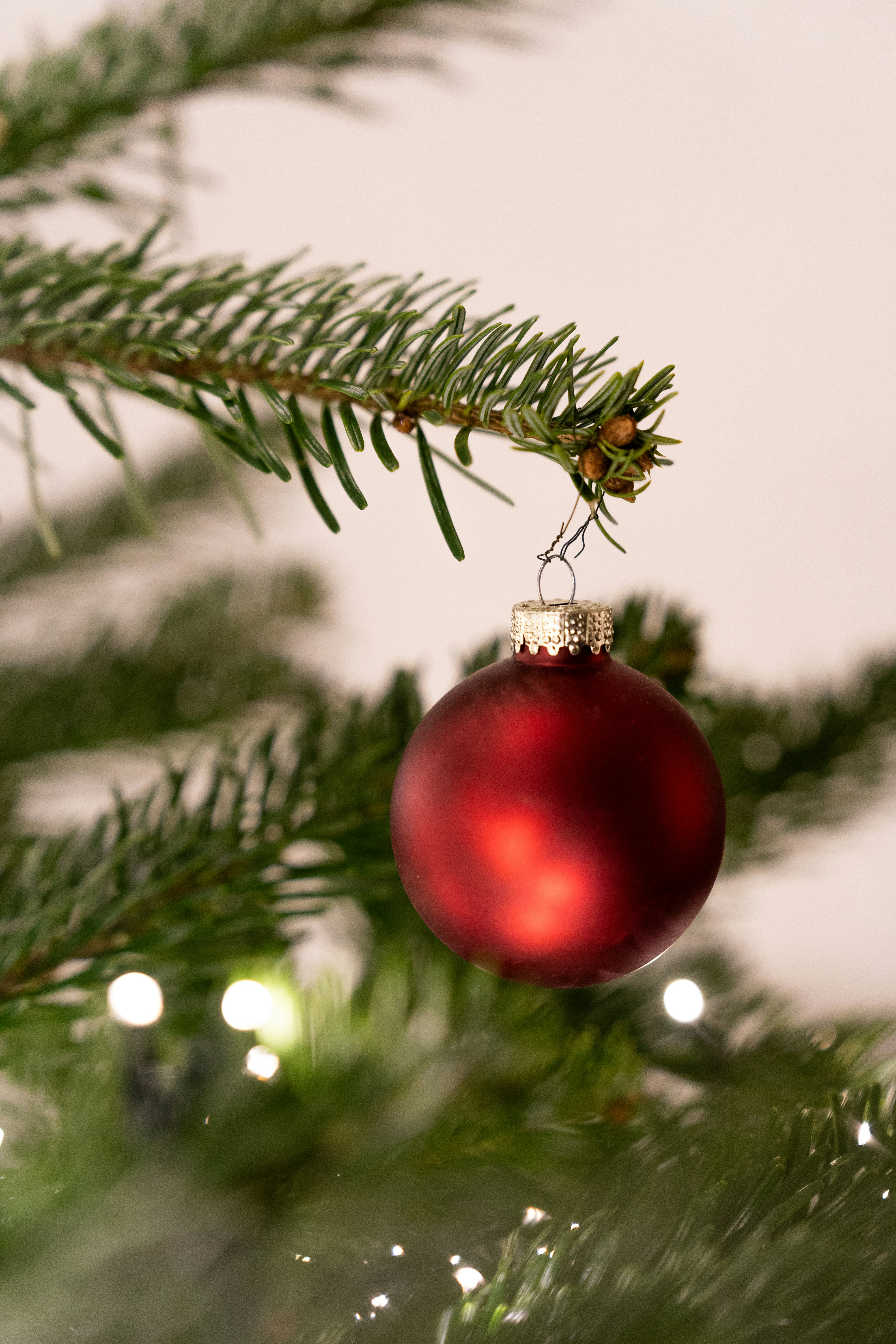 Photo by carinamariah