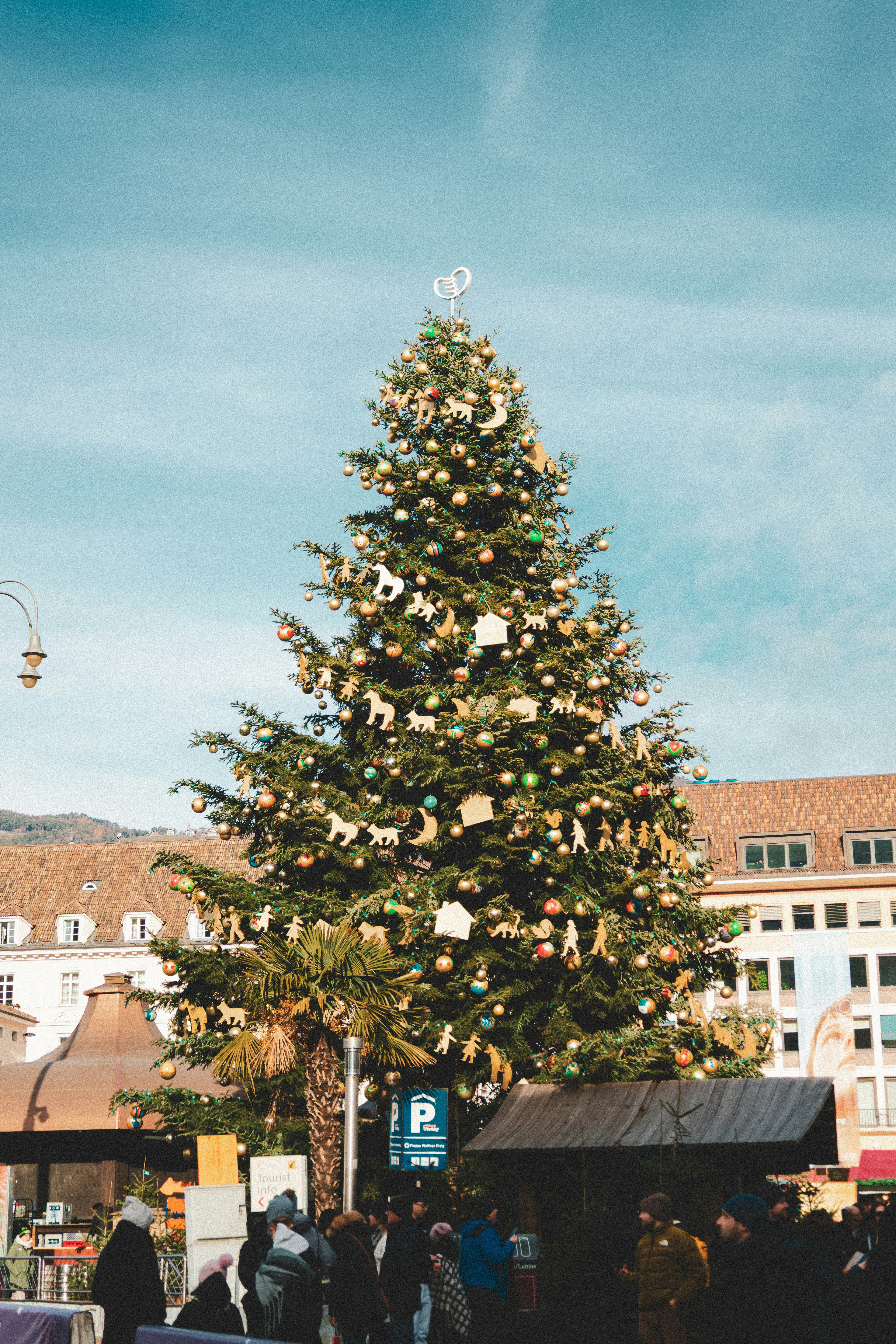 Decorated christmas tree in a town square.