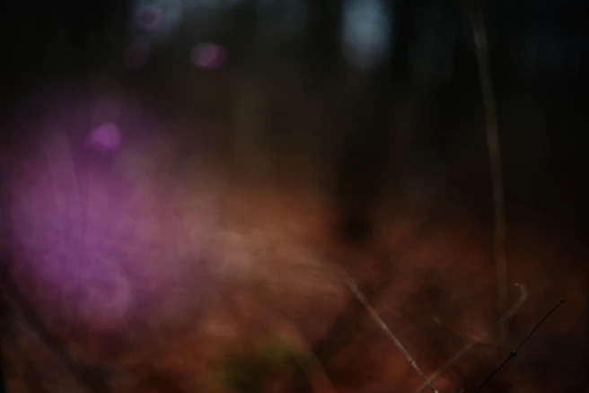 Abstract blur of purple and brown tones