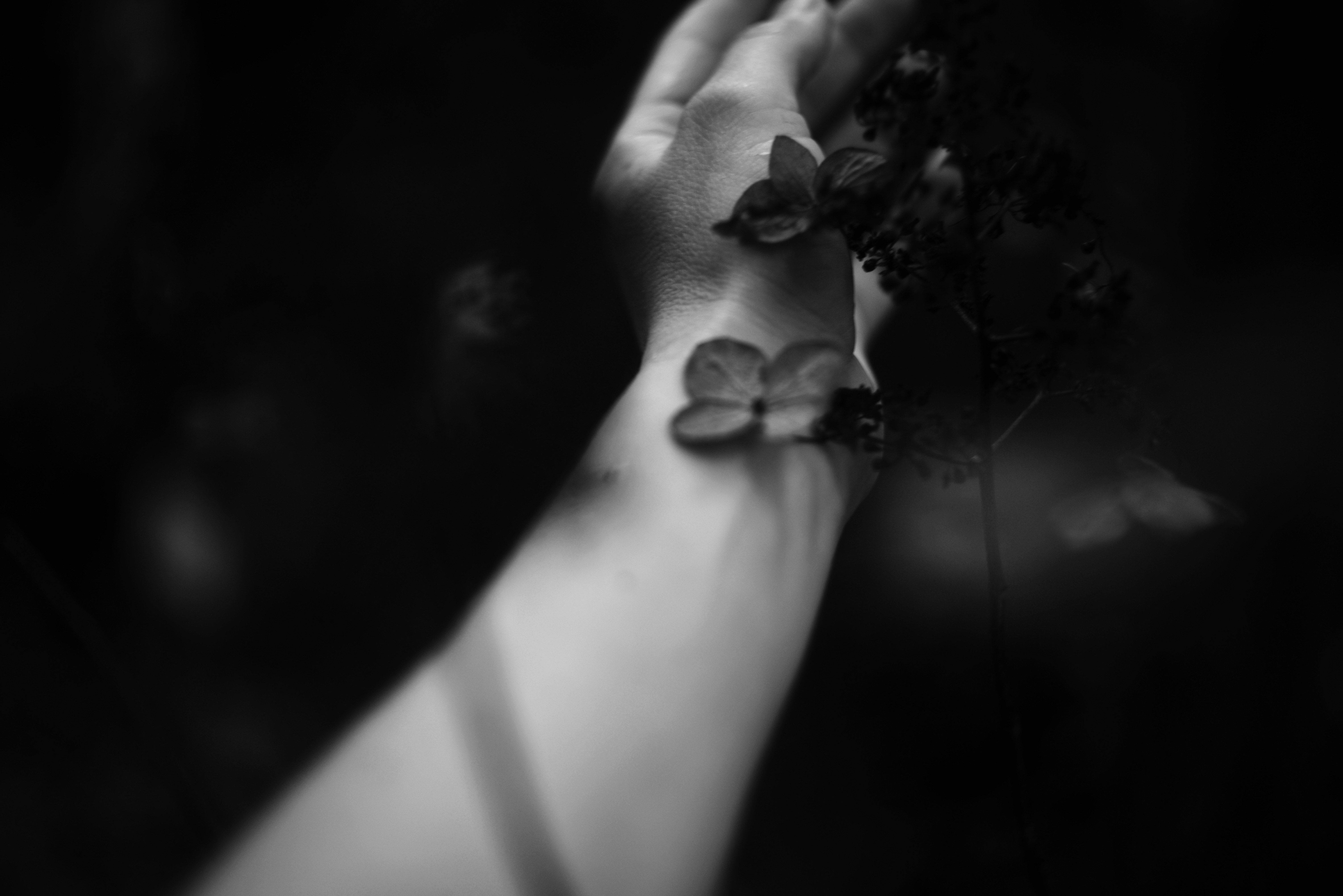 Photo by cherstve_pechivo