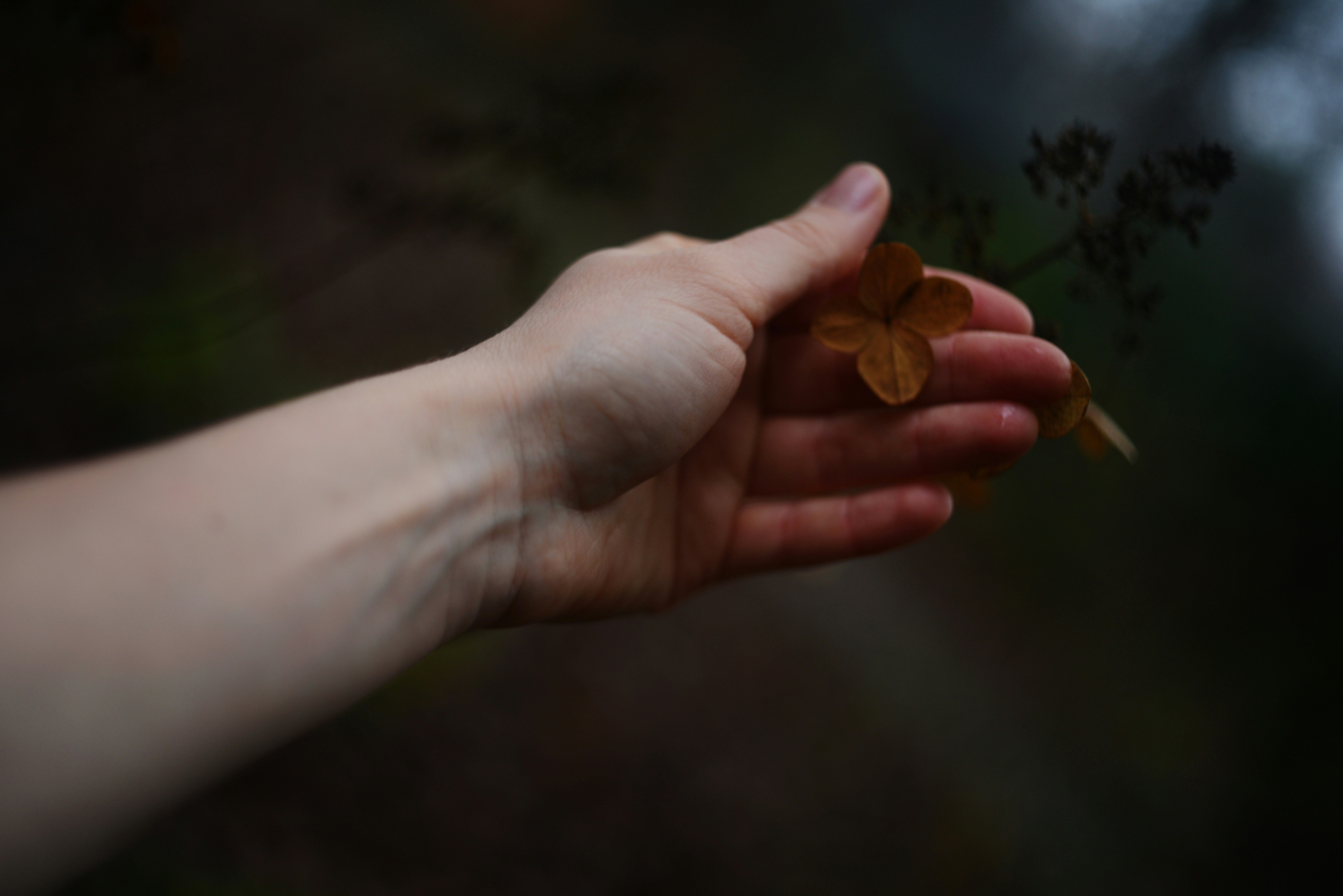 Photo by cherstve_pechivo