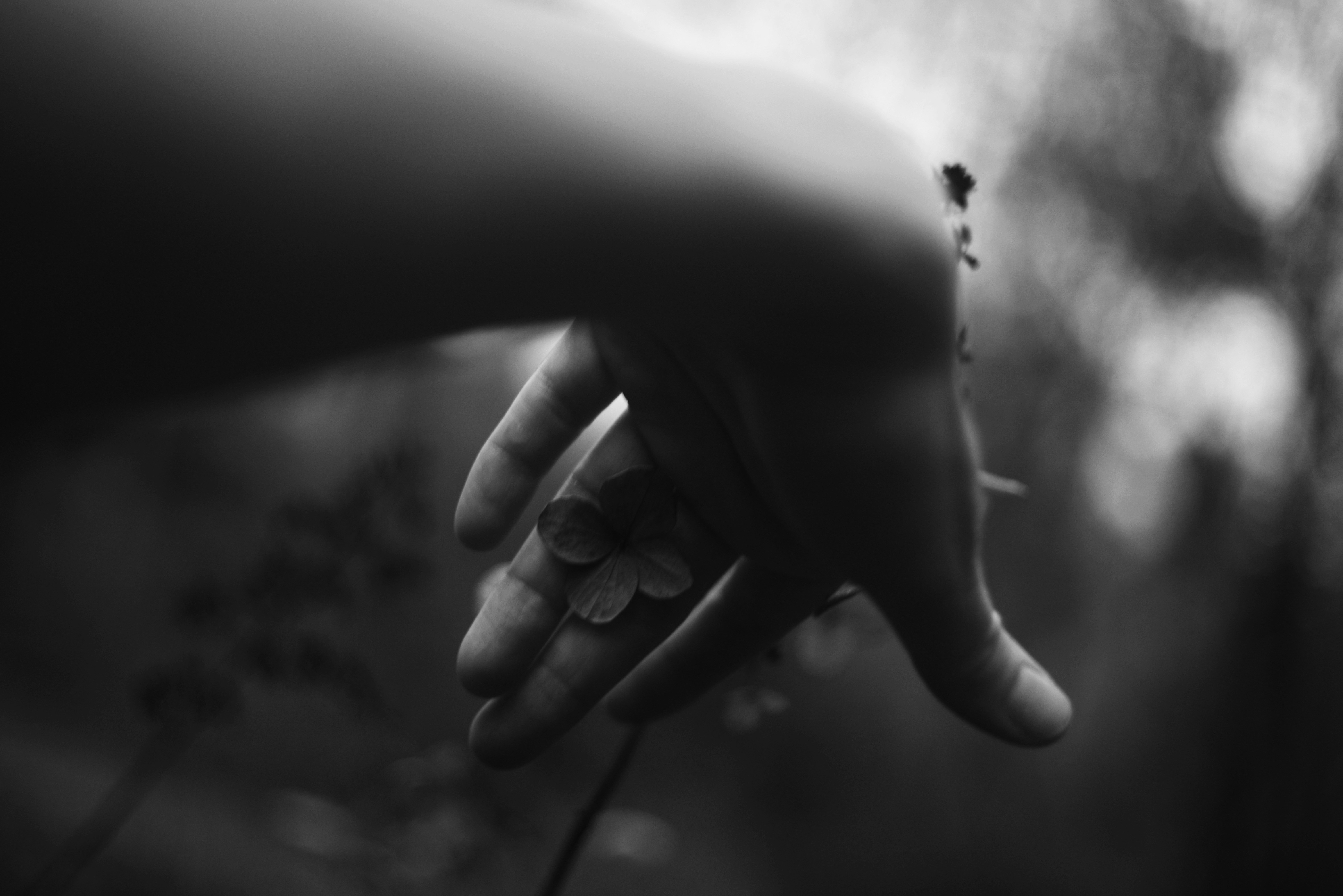 Photo by cherstve_pechivo