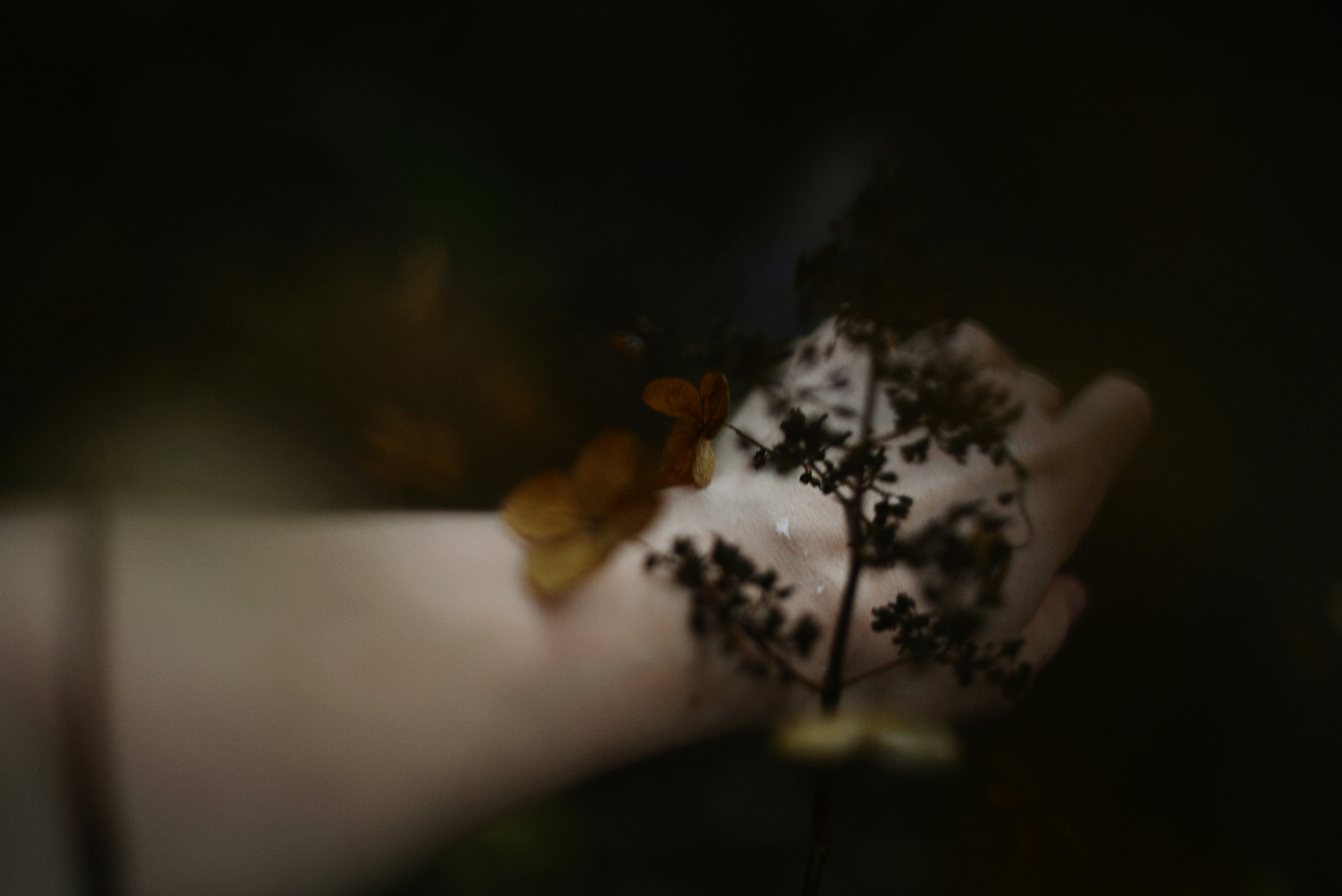 Photo by cherstve_pechivo