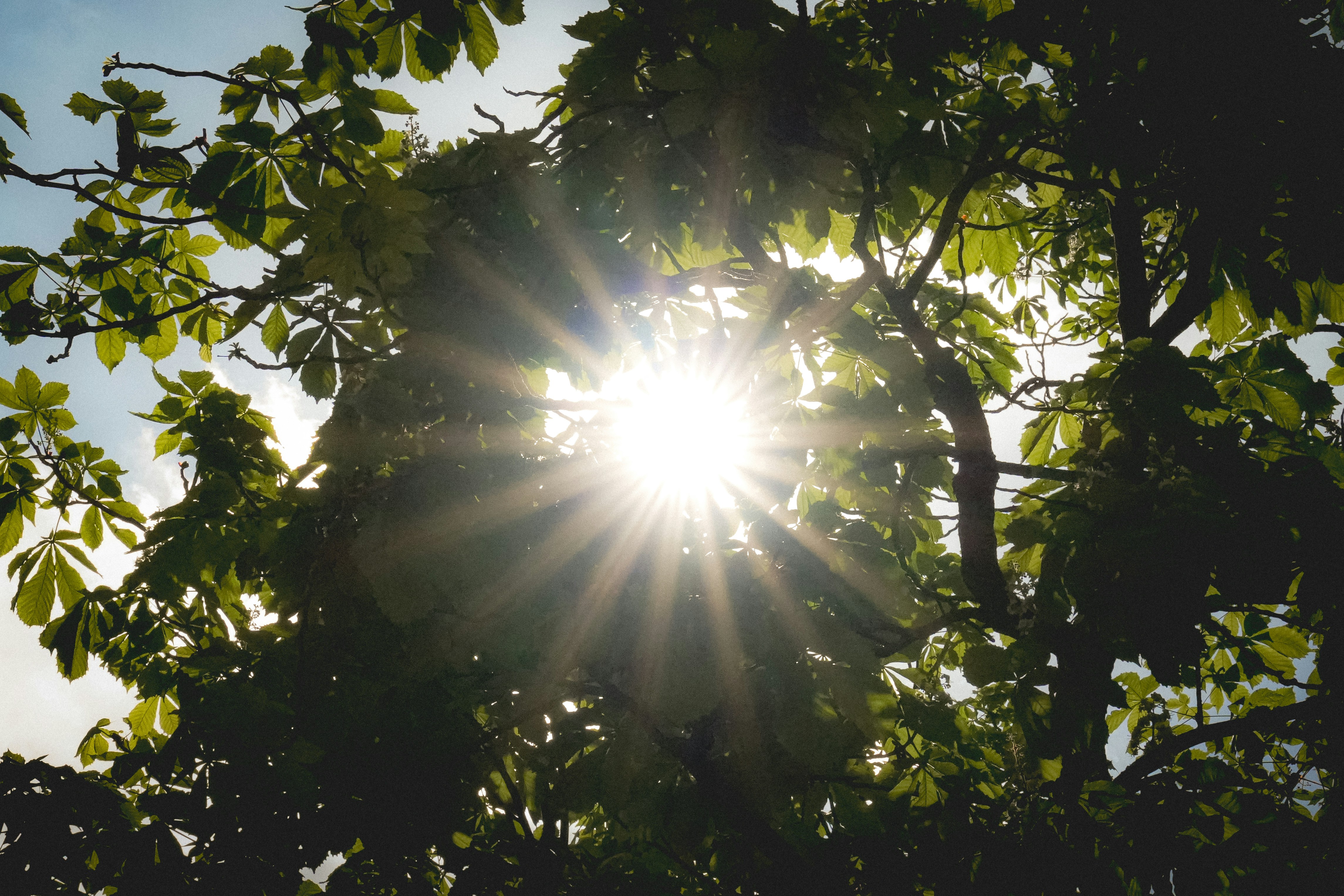 Photo by solomon_6969