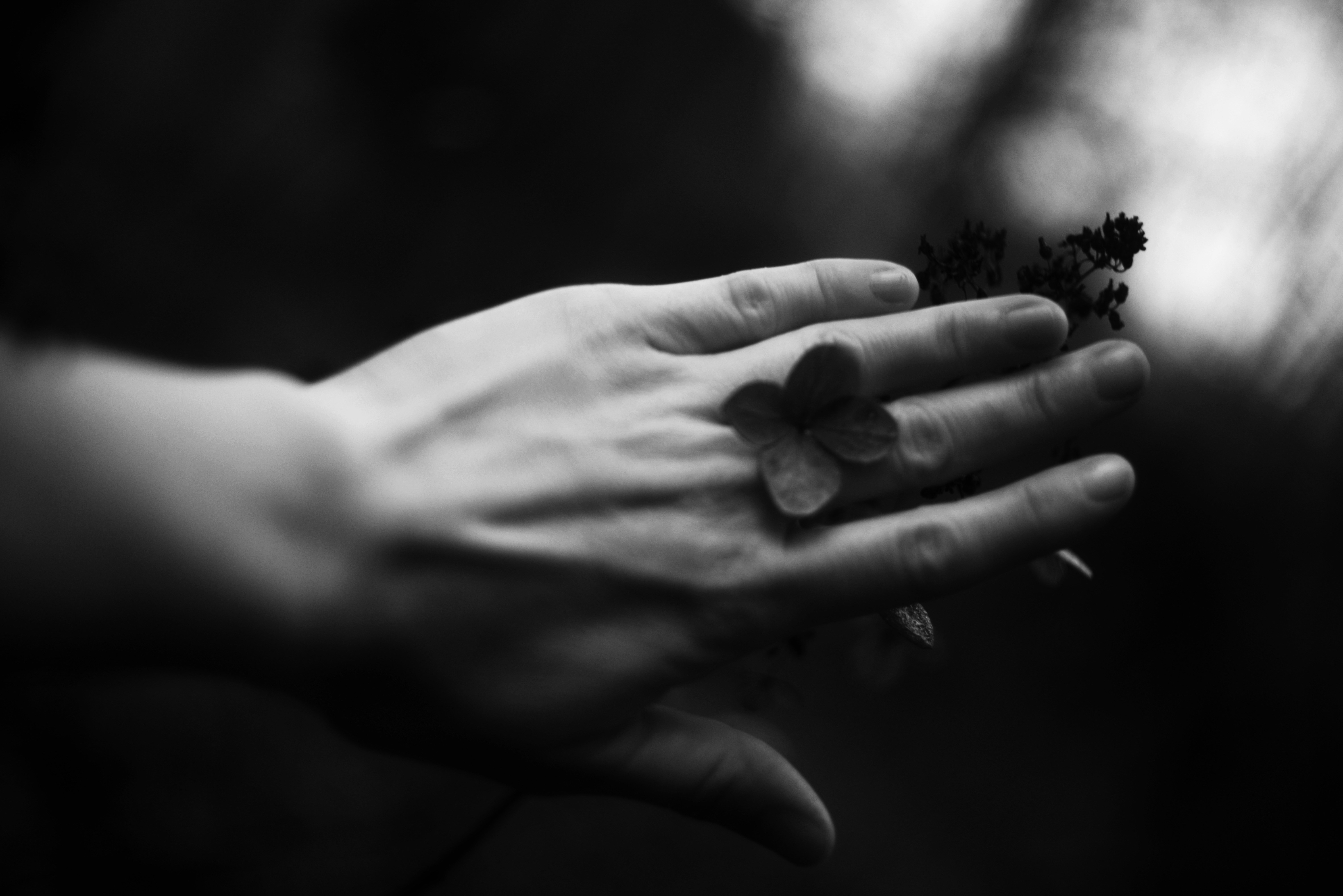 Photo by cherstve_pechivo