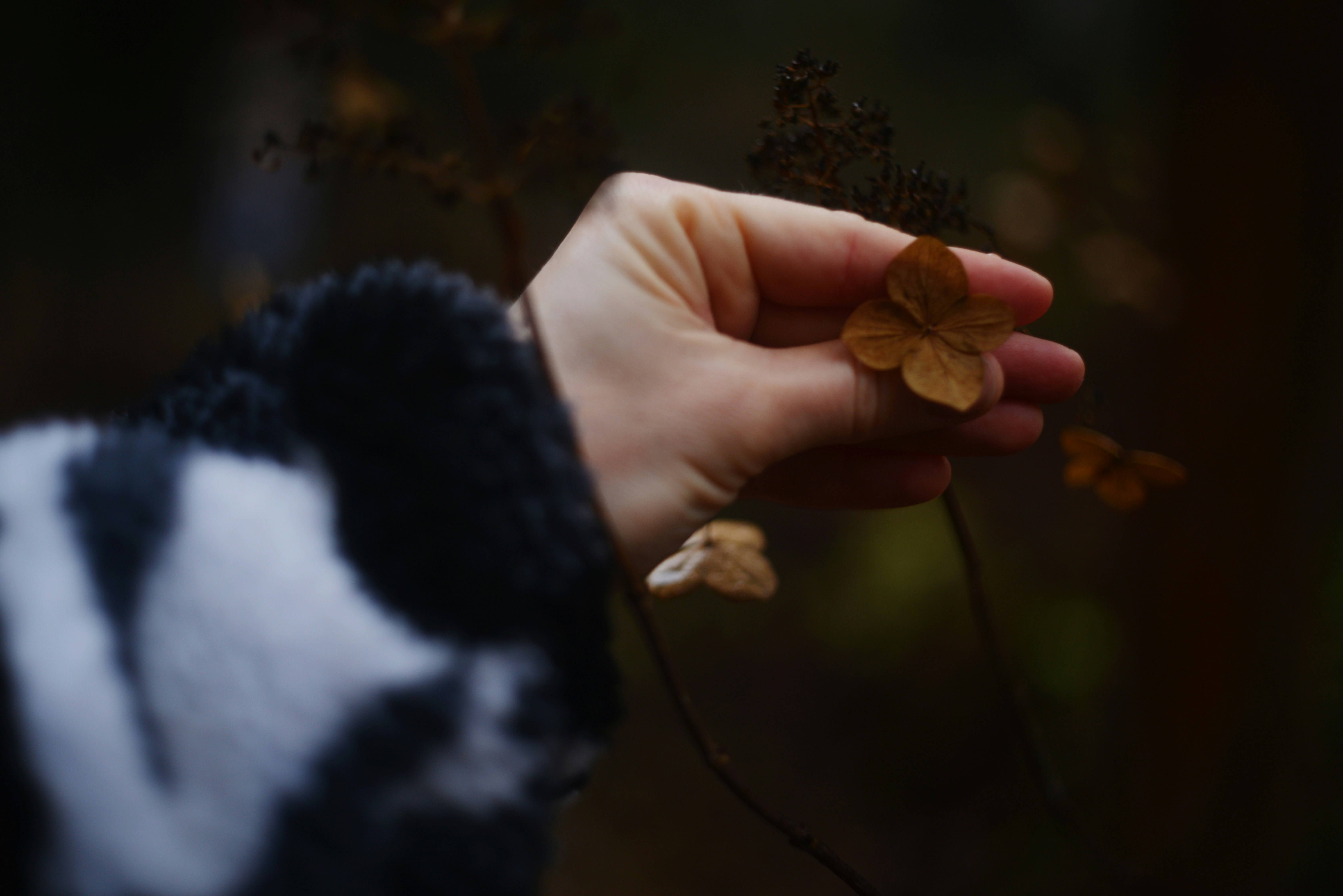 Photo by cherstve_pechivo