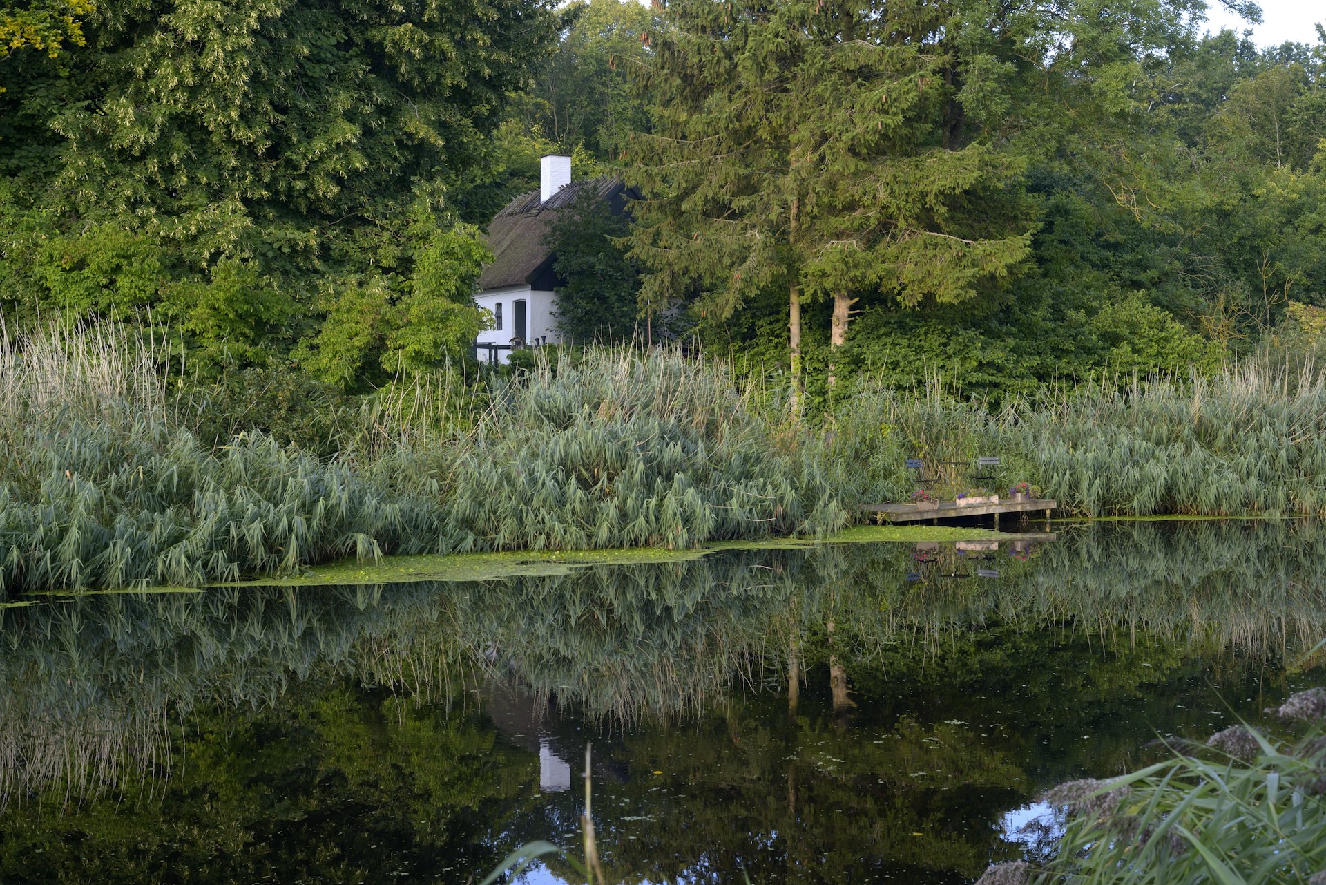 Wooden cottage surrounded by greenery